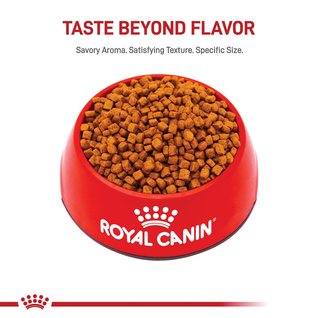 Royal Canin Poodle Puppy 2.5 lb Bag