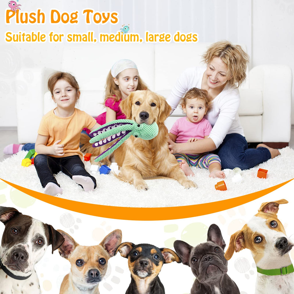 Large Squeaky Dog Toy