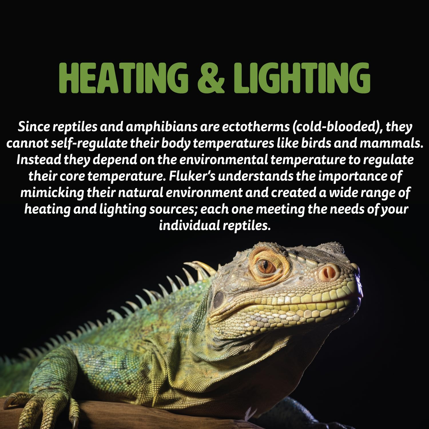 Clamp Lamp, Heavy Duty Clamp Light For Reptile Tanks