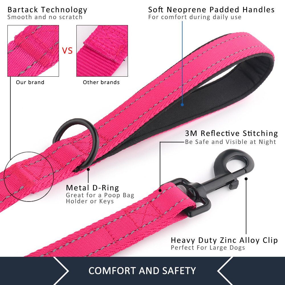 Double Handle Dog Leash 6ft Long