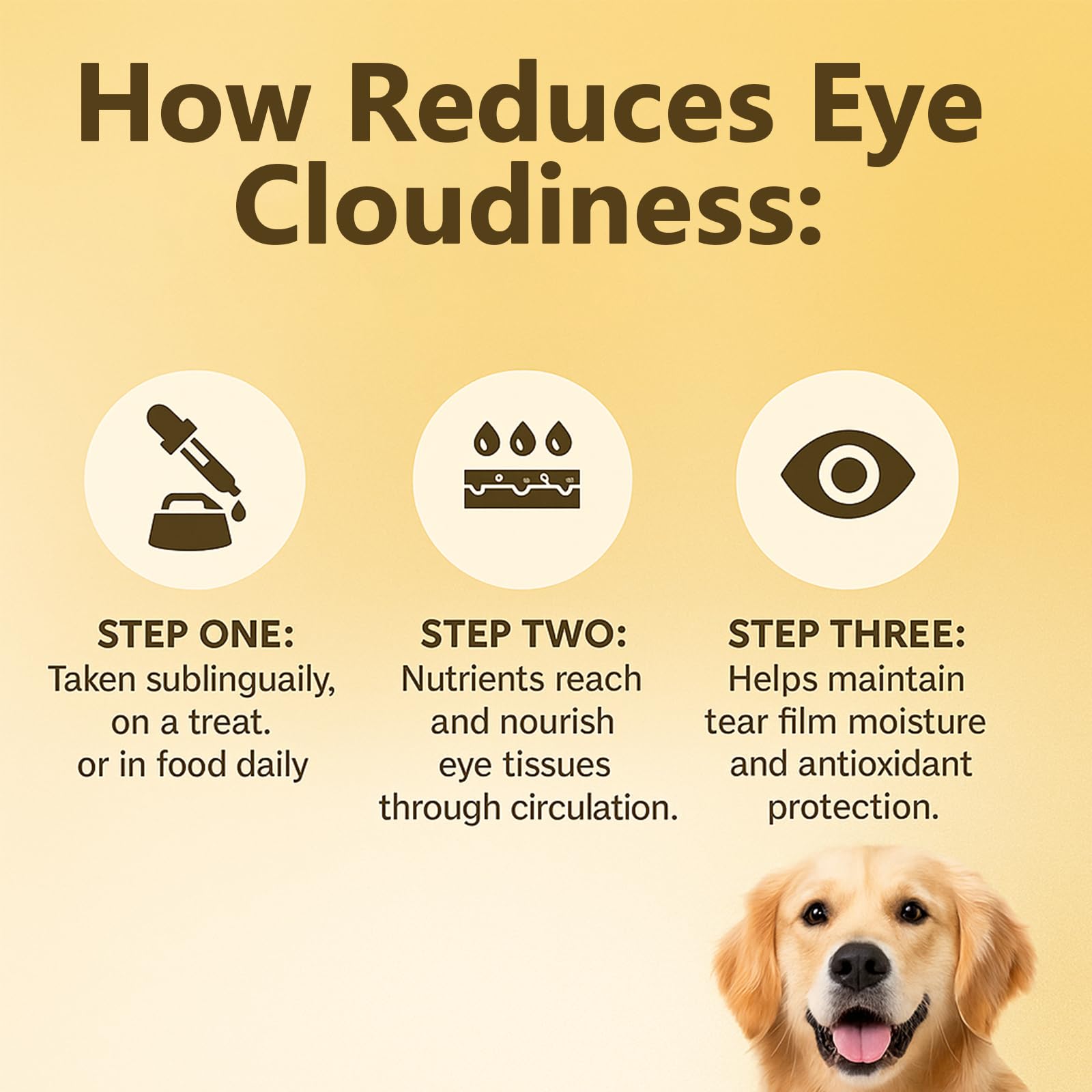 Advanced Vision Formula for Dogs – Liquid Eye & Vision Support Supplement –