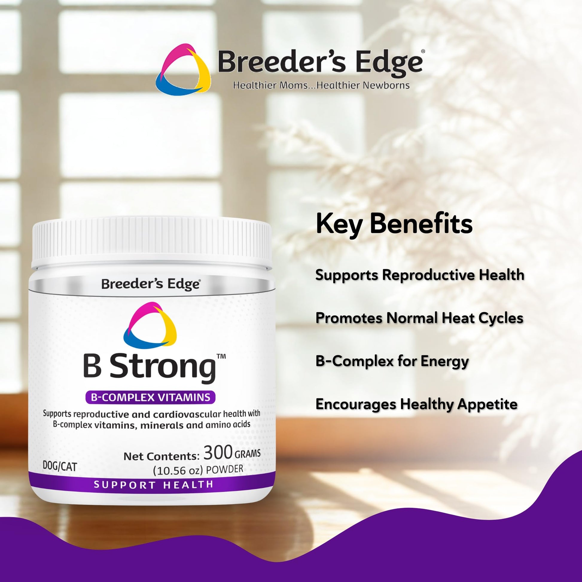 B Strong Powder Vitamin Supplement for Dogs and Cats 300g