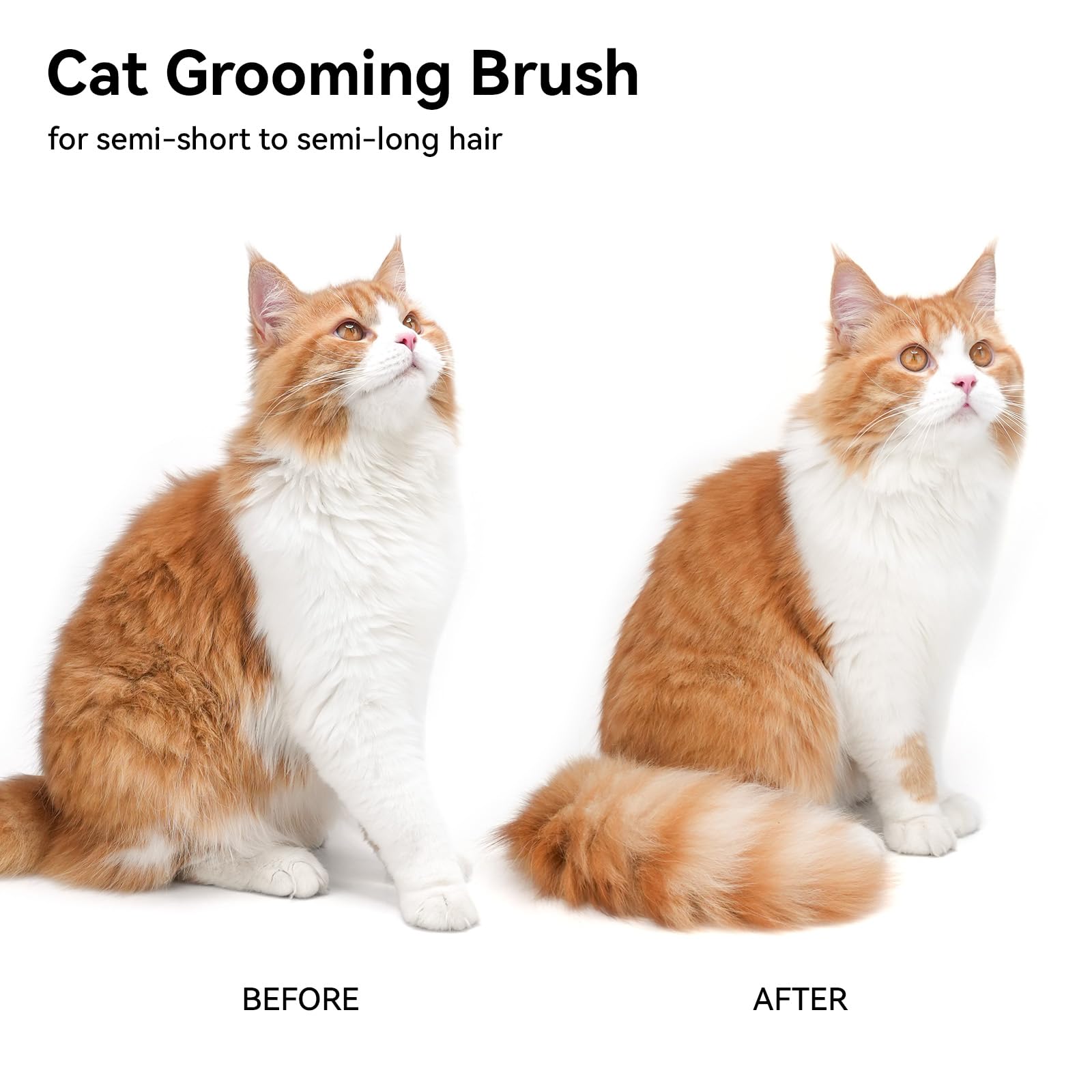 Cat Brush for Shedding