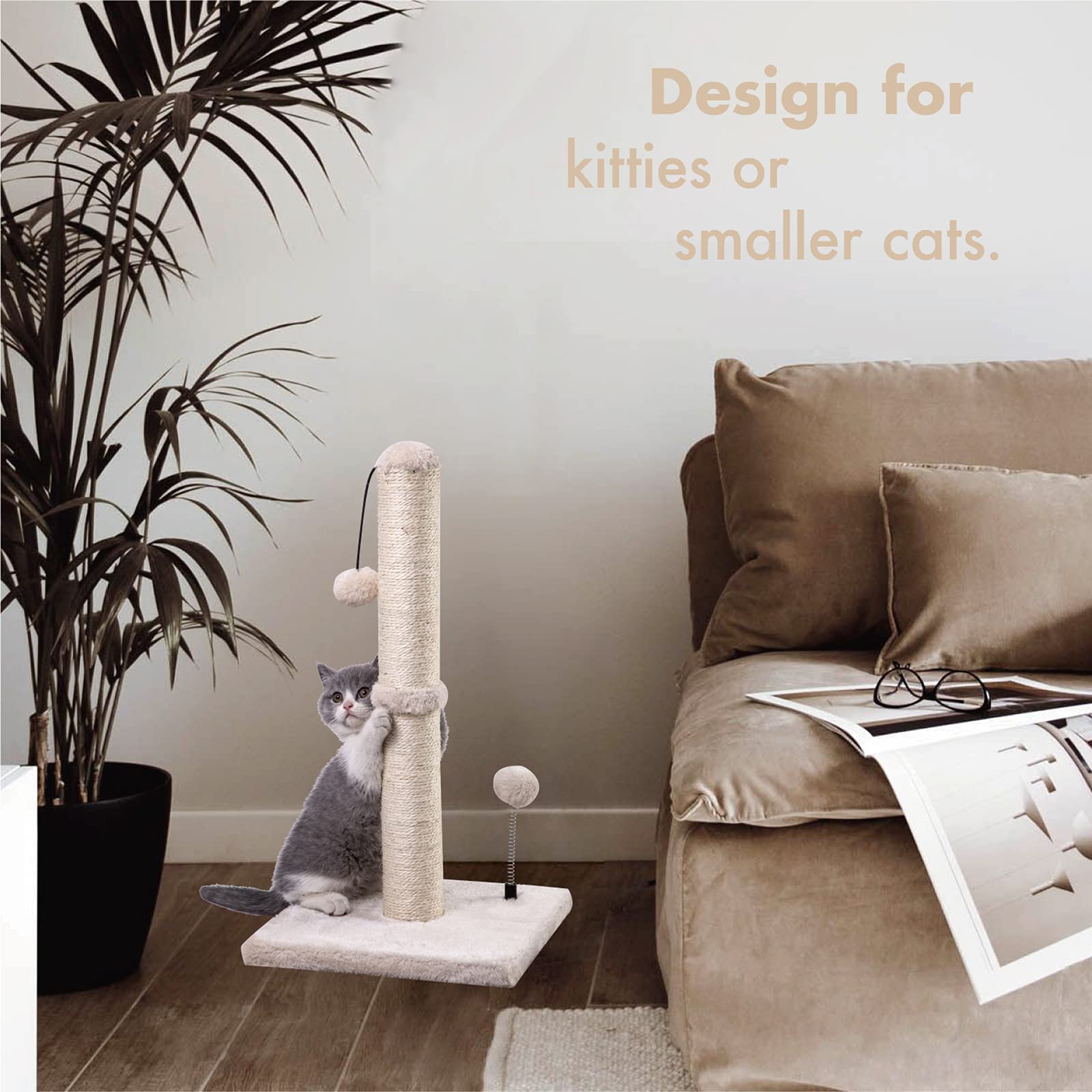 Cat Scratching Post