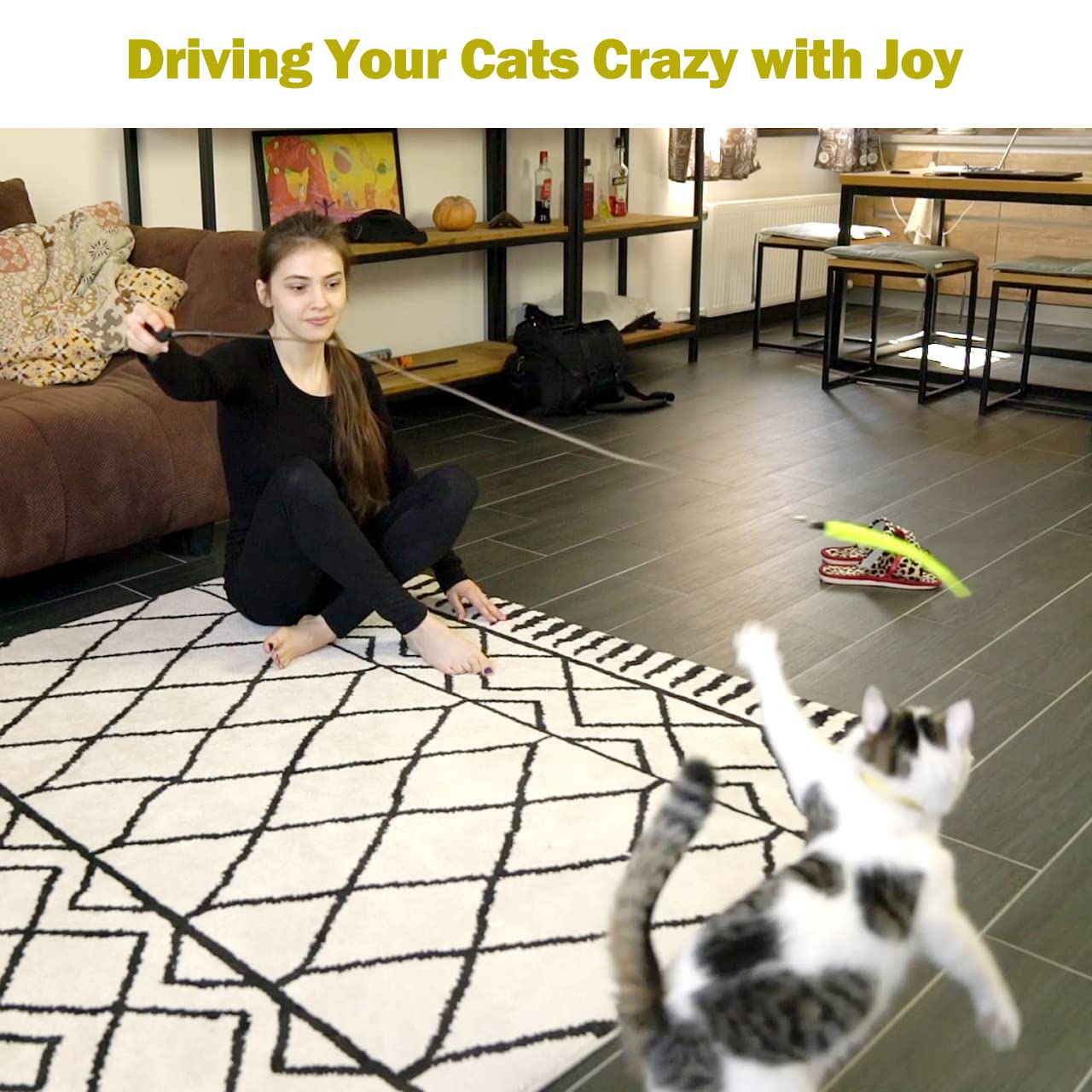Interactive Cat Toys - Retractable Wand Toy and Feather Toys