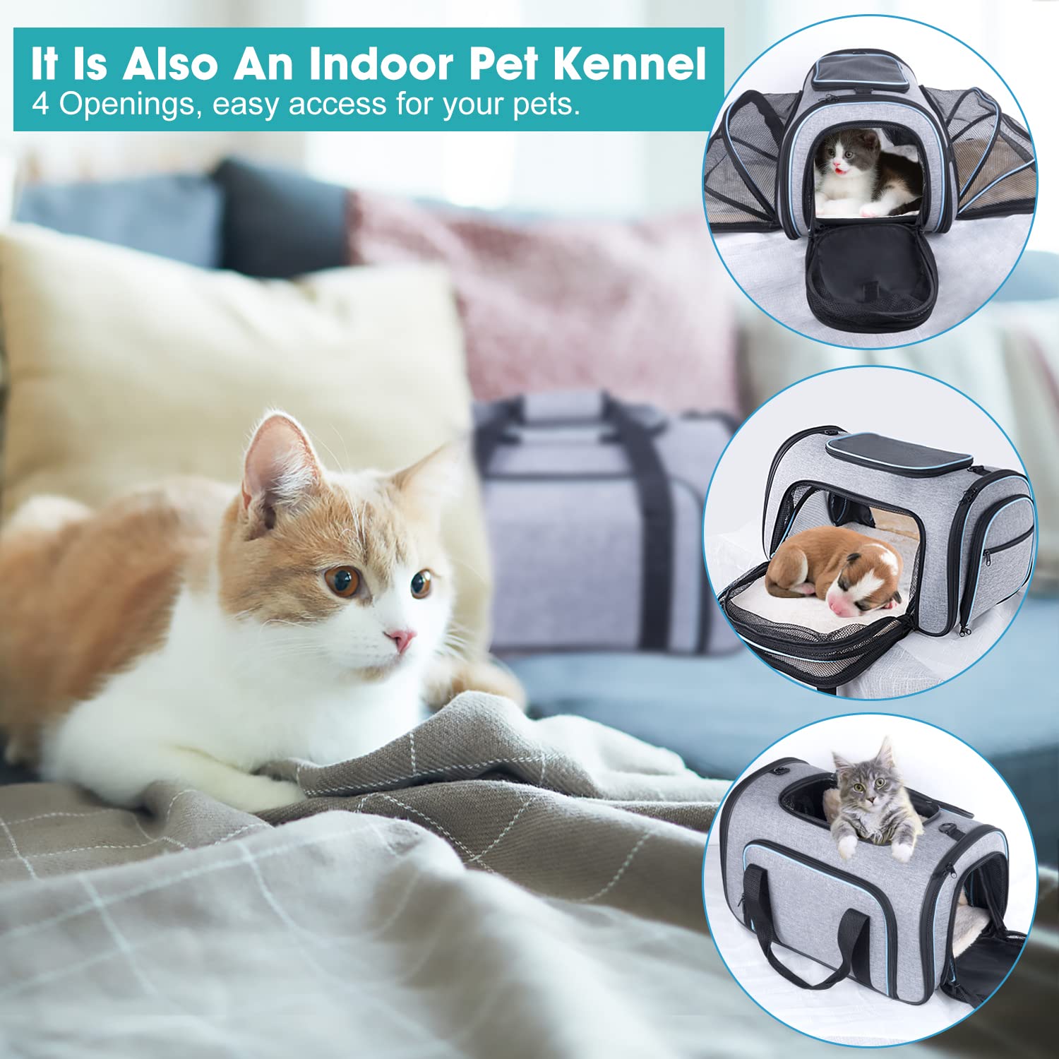4 Sides Expandable Pet Carrier, Airline Approved