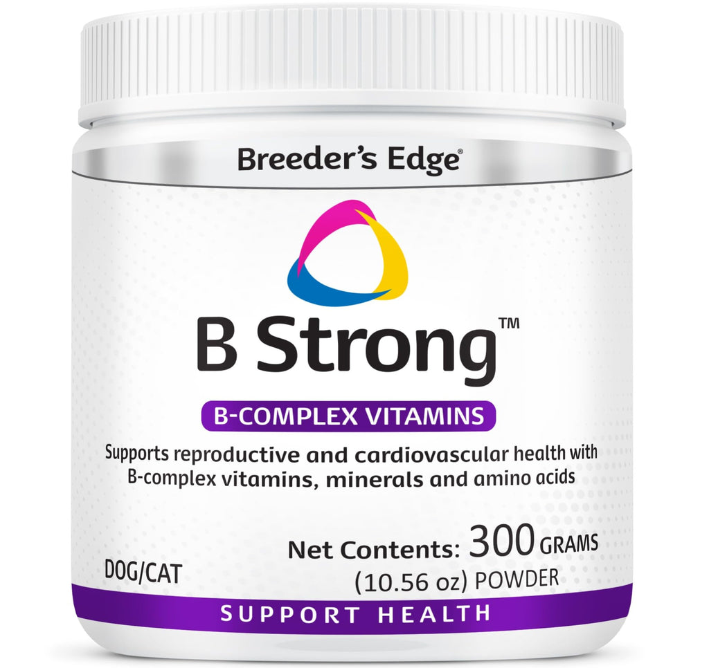 B Strong Powder Vitamin Supplement for Dogs and Cats 300g
