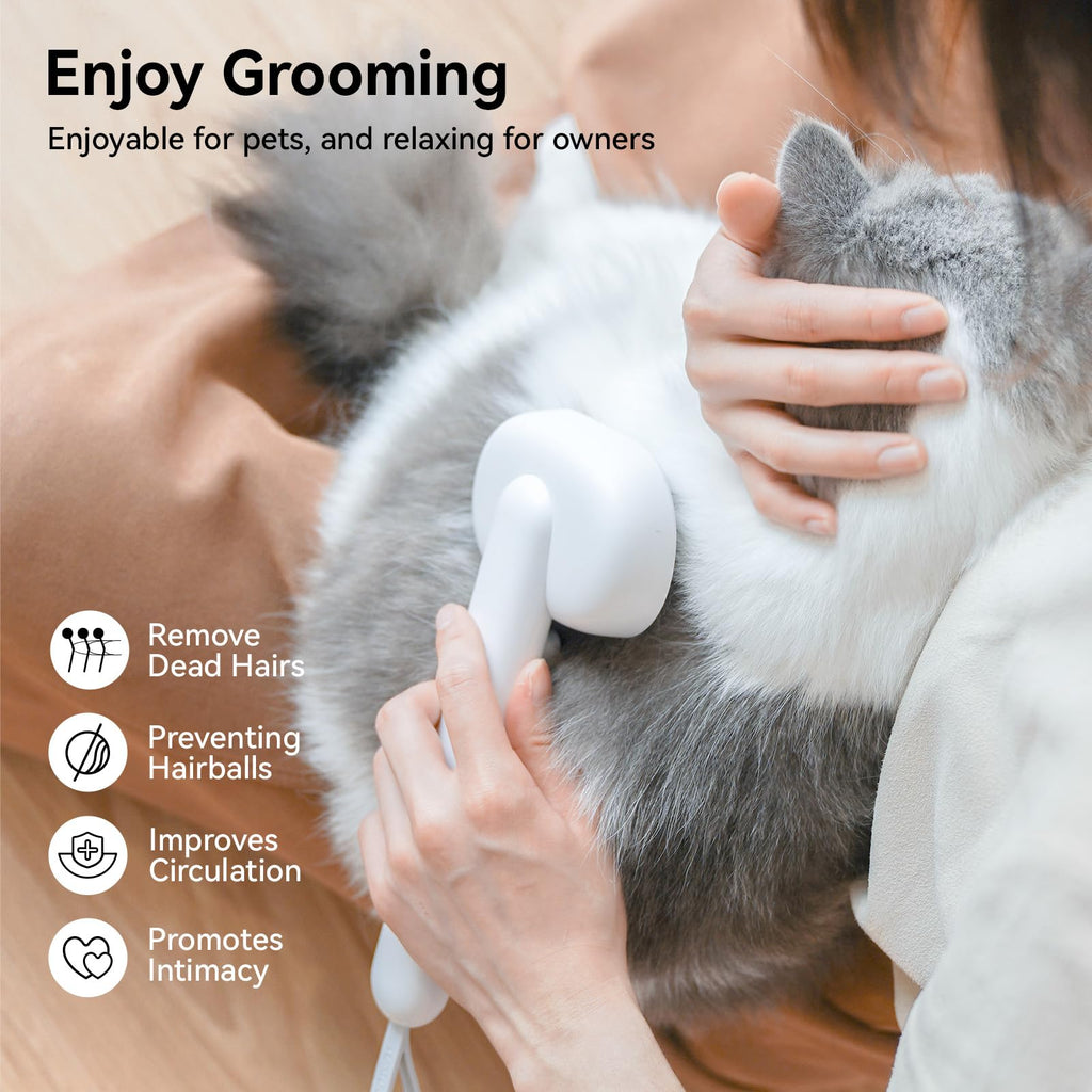 Cat Brush for Shedding