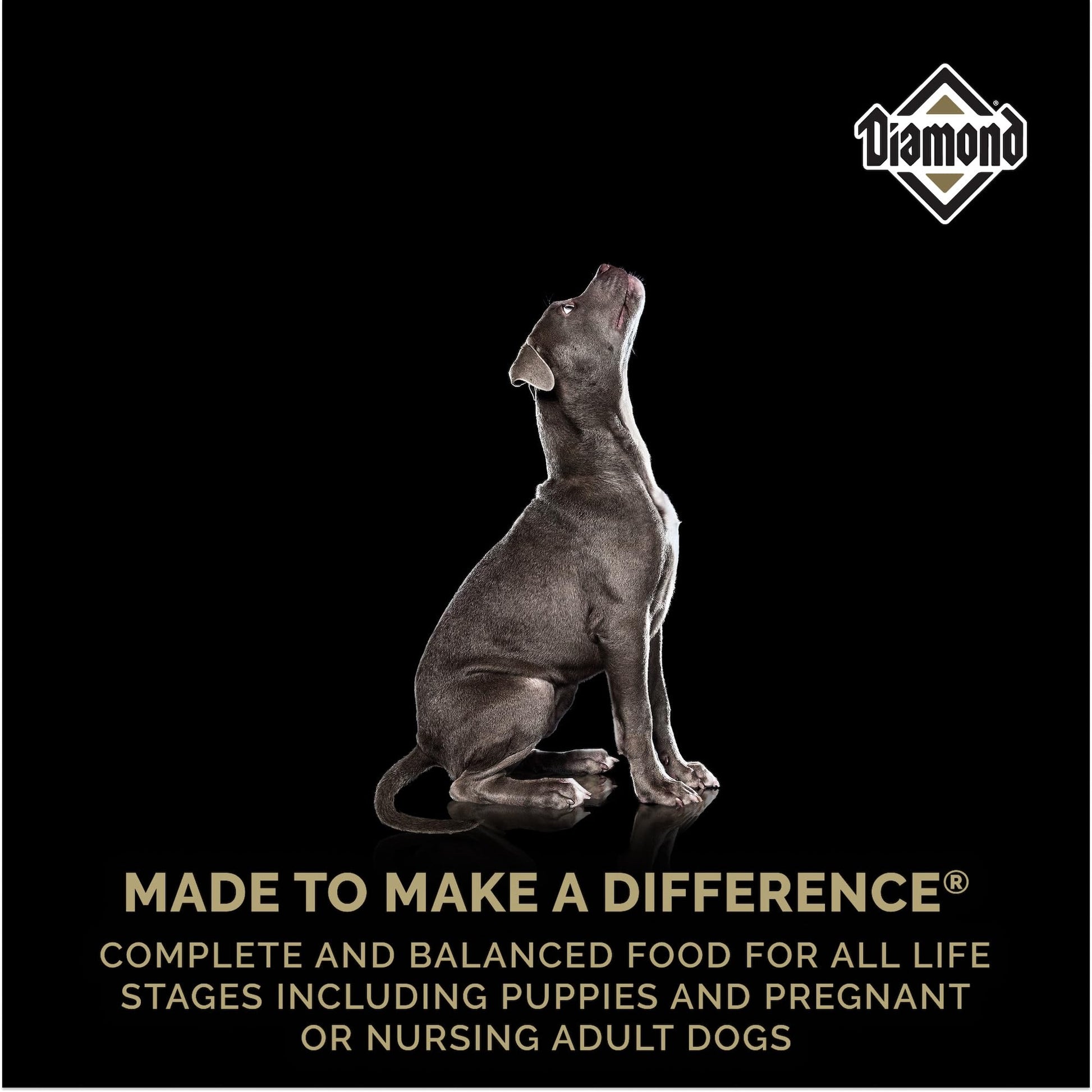 Diamond Dry Dog Food All Life Stages Including Puppies