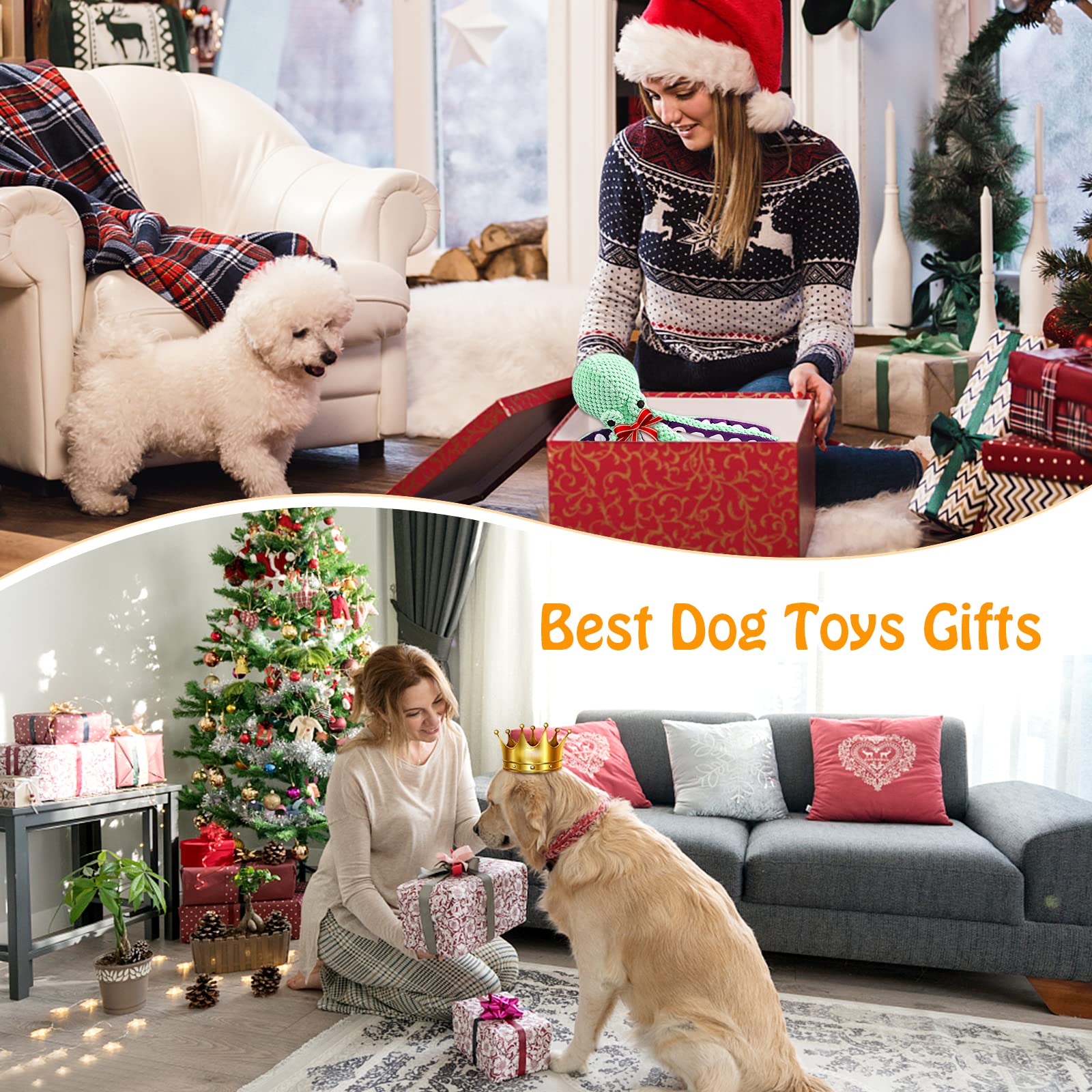 Large Squeaky Dog Toy