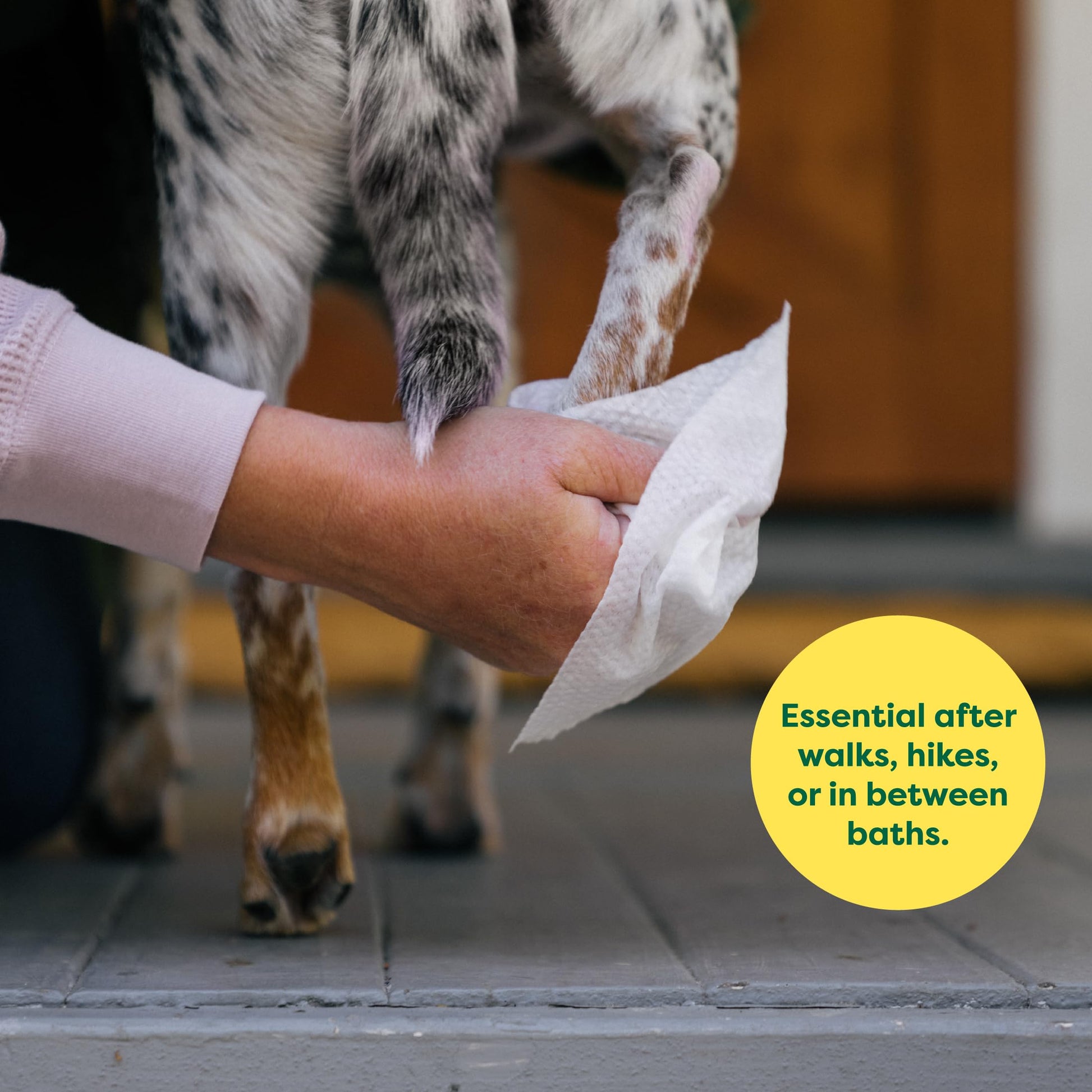 Earth Rated Pet Wipes for Dogs and Cats