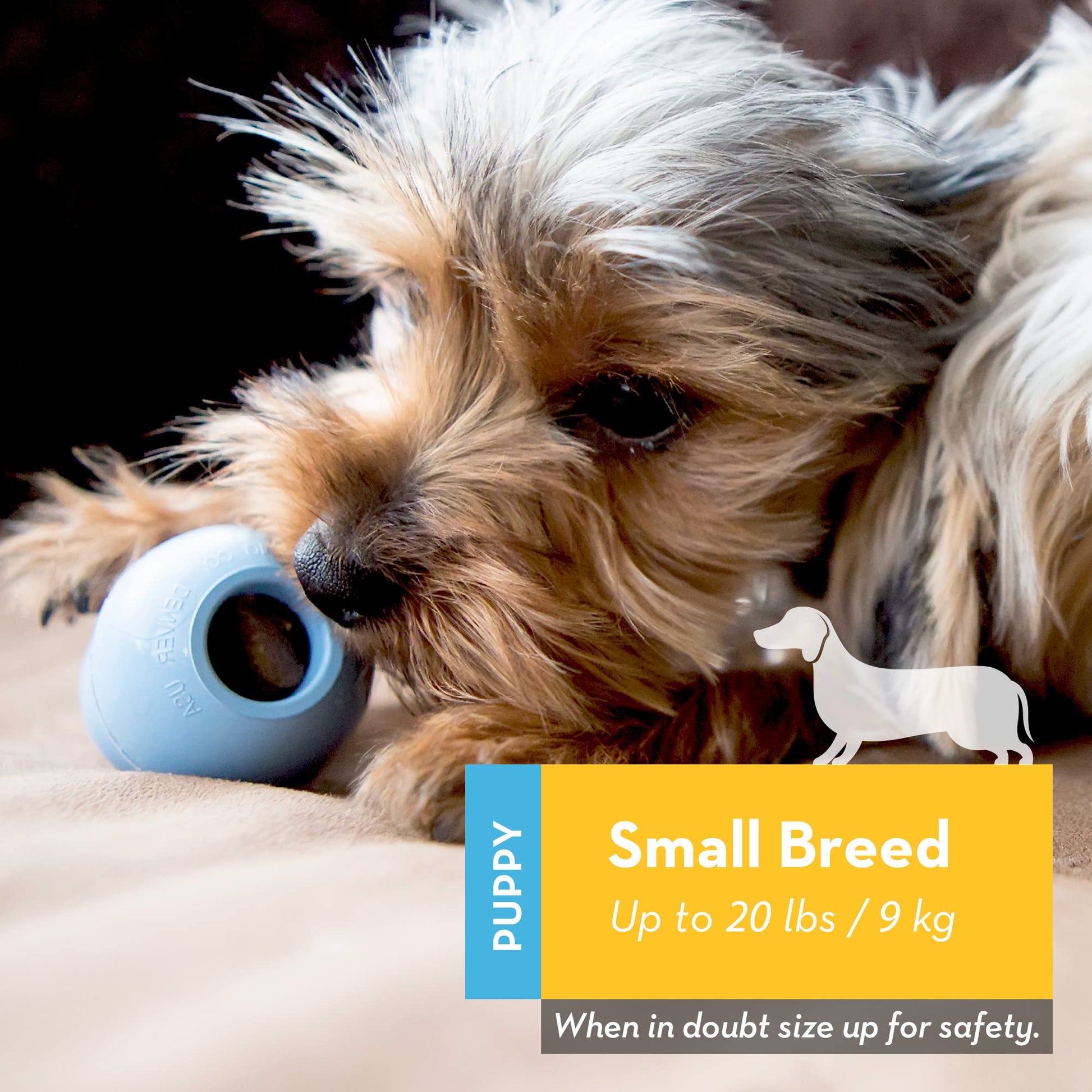 Natural Teething Rubber Chew Toy for Dogs