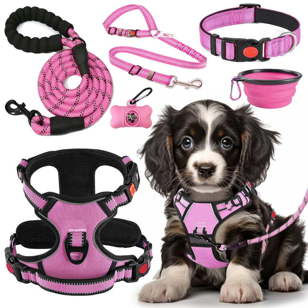 No Pull Dog Harness, Collar & Leash Set