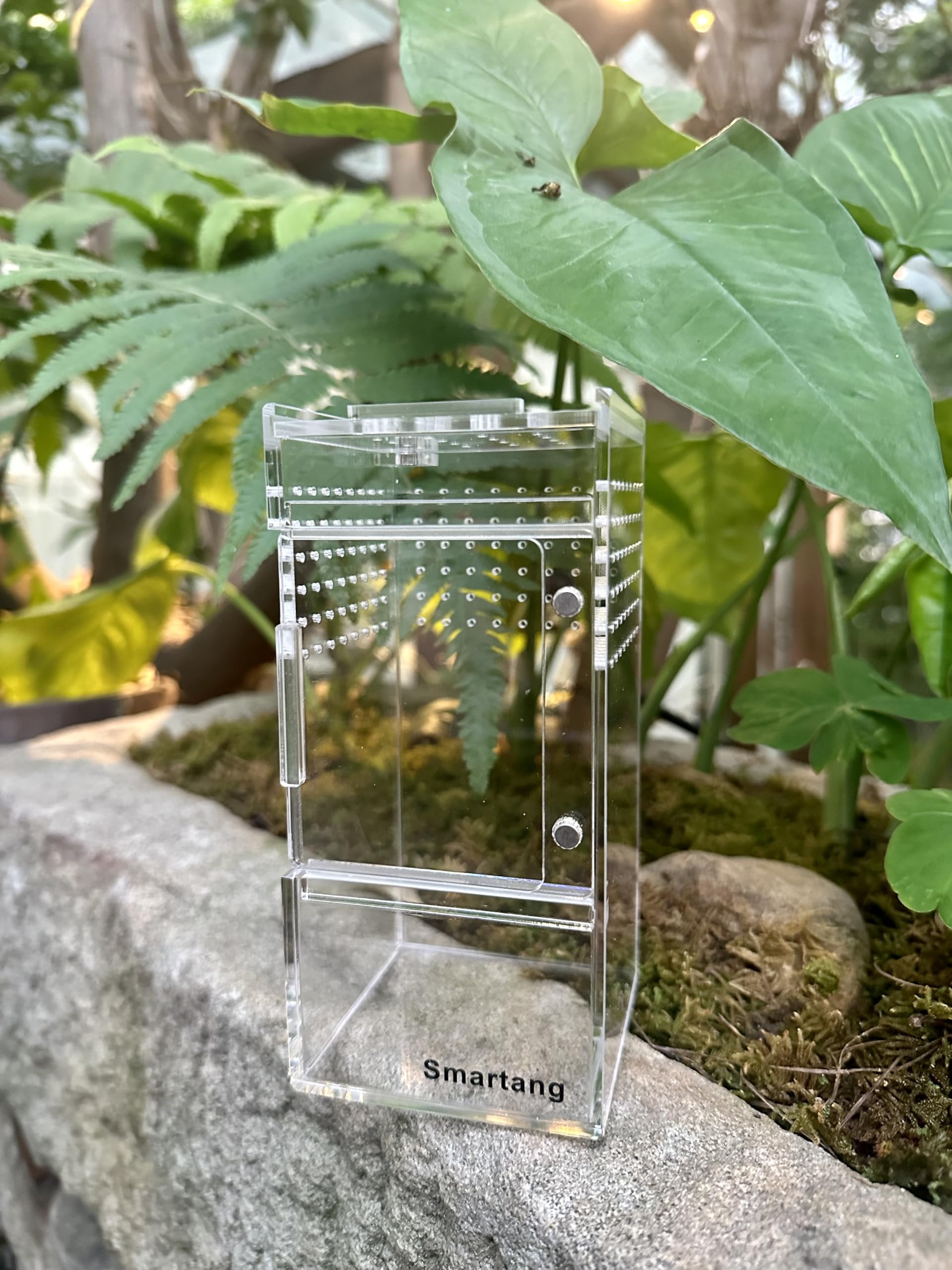 Spider Enclosure