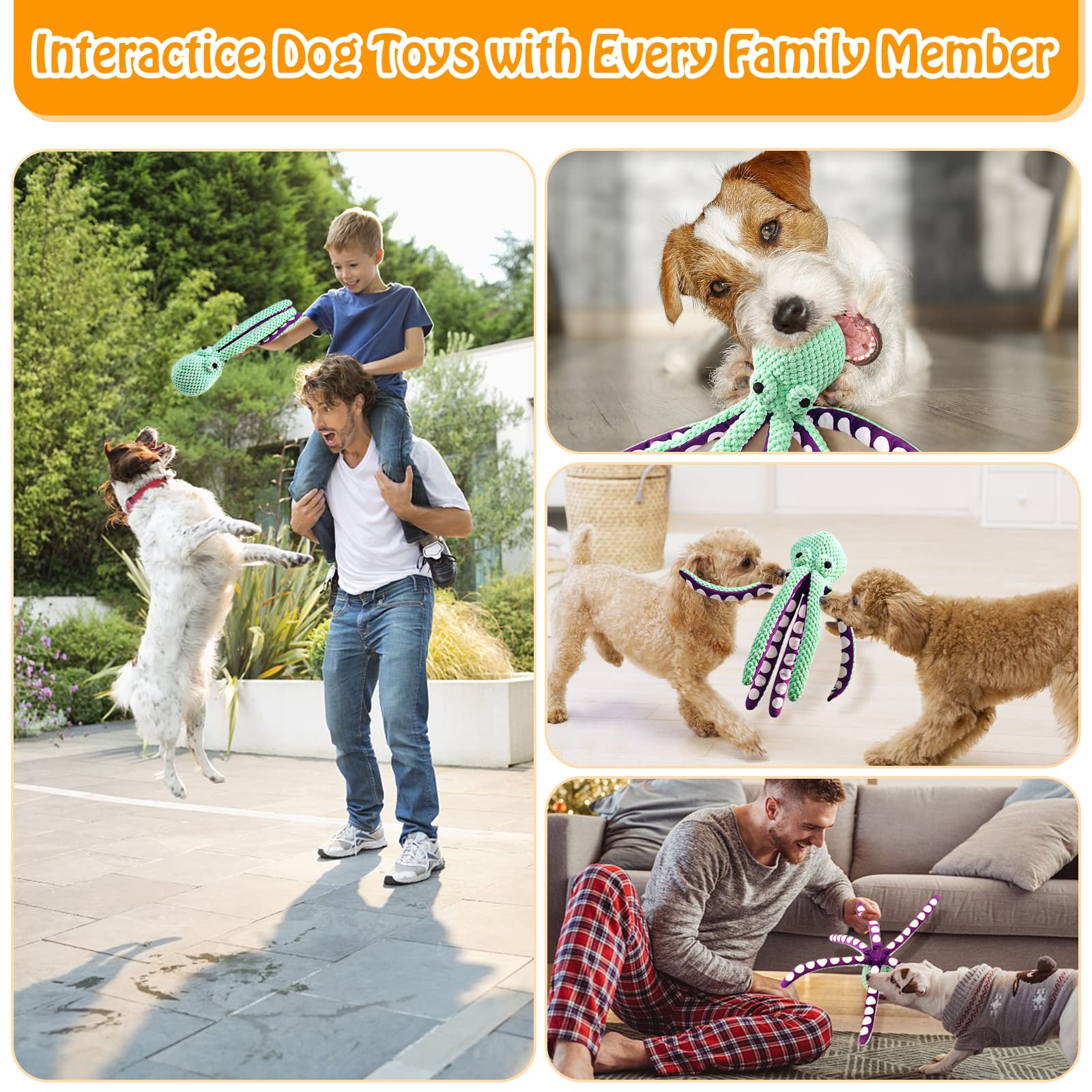 Large Squeaky Dog Toy