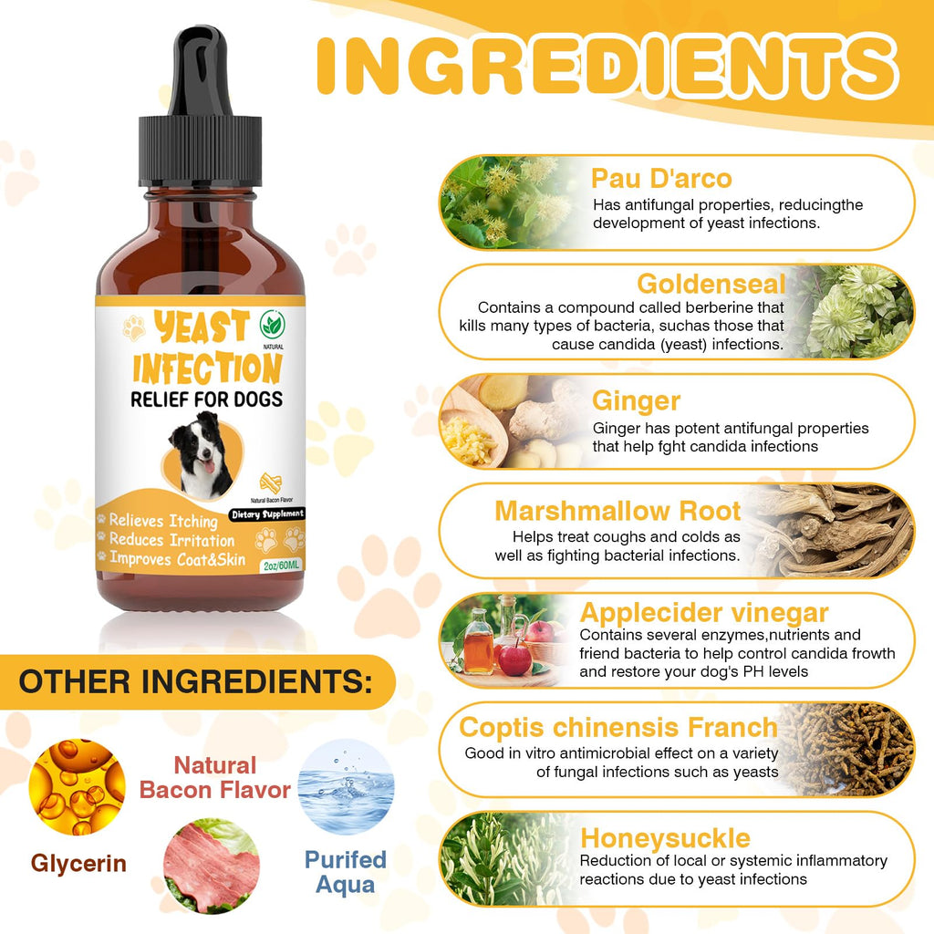 Natural Yeast Infection Treatment for Dogs