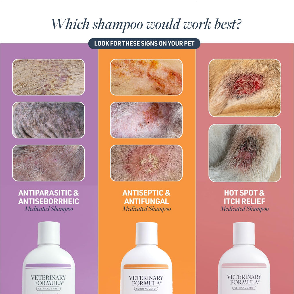 Veterinary Formula Clinical Care Antiseptic and Antifungal Medicated Shampoo for Dogs & Cats, 16 Fl Oz