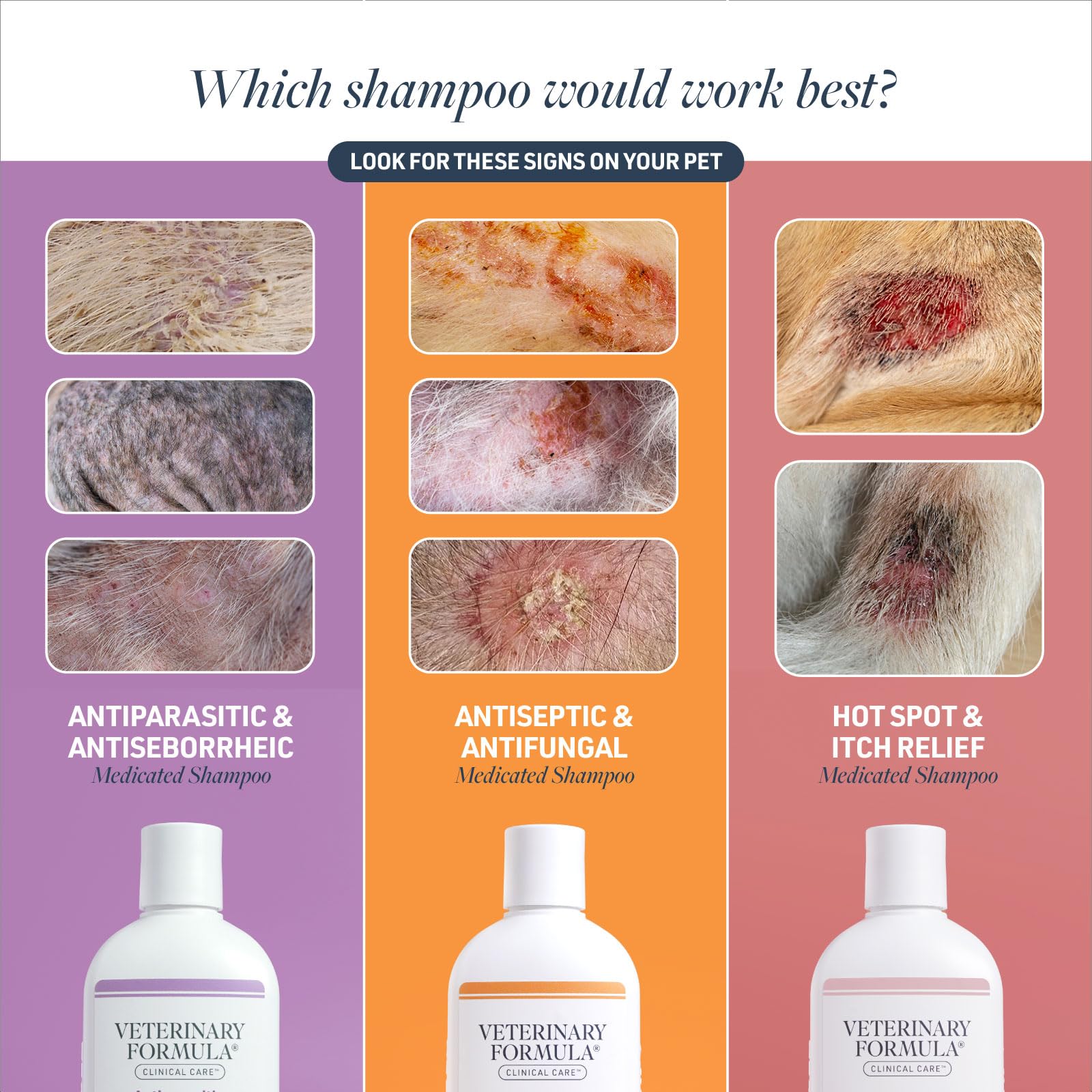 Veterinary Formula Clinical Care Antiseptic and Antifungal Medicated Shampoo for Dogs & Cats, 16 Fl Oz