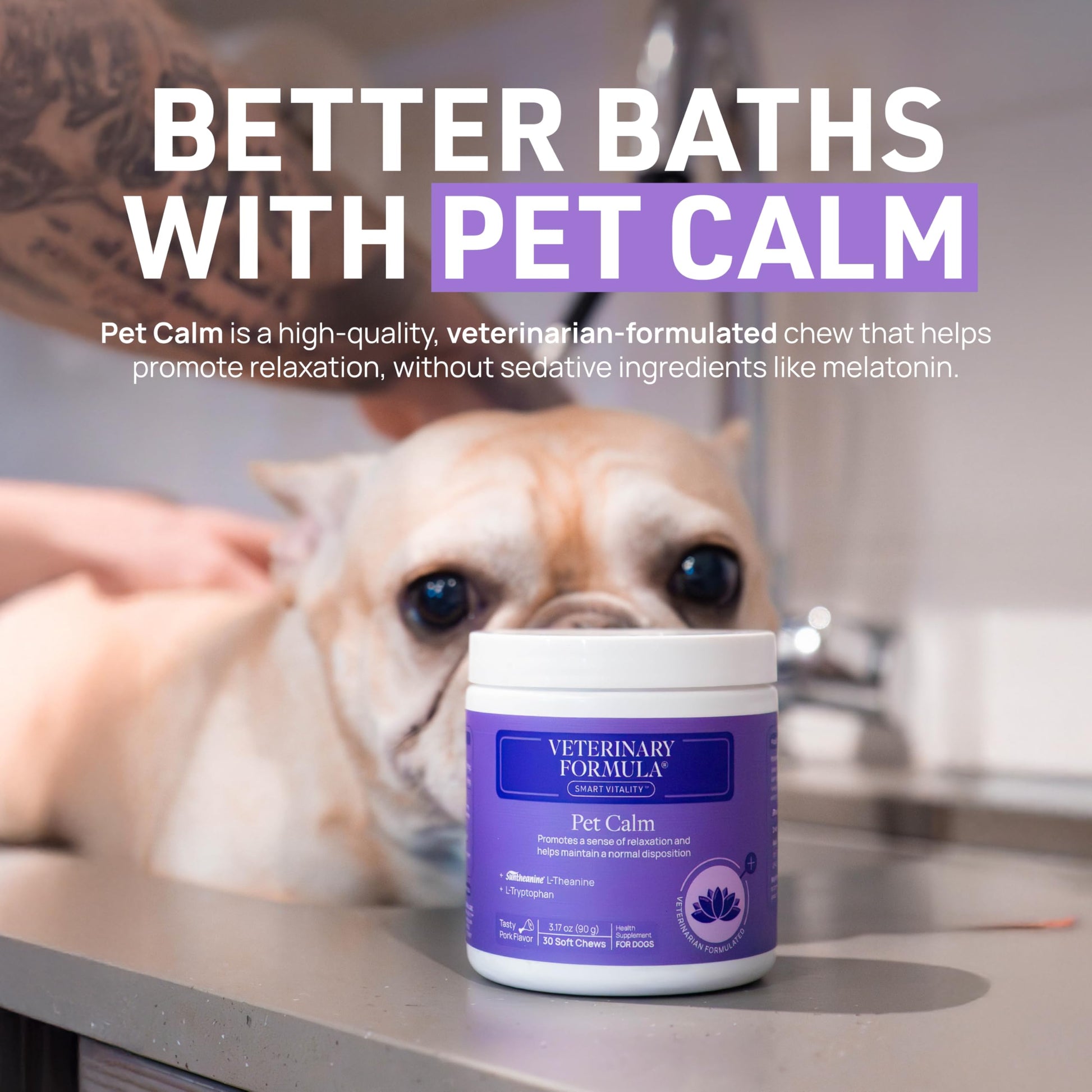 Veterinary Formula Clinical Care Antiseptic and Antifungal Medicated Shampoo for Dogs & Cats, 16 Fl Oz