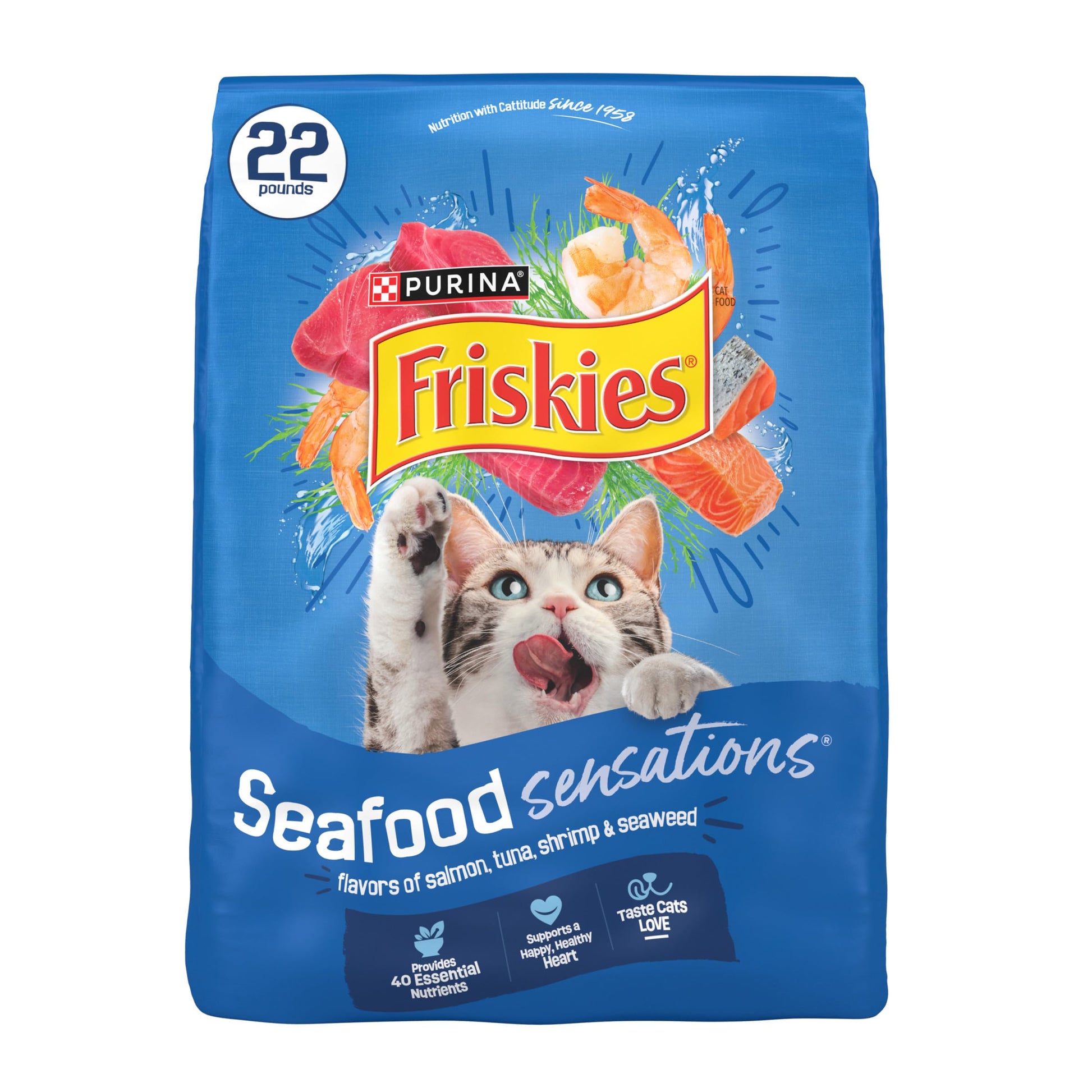 Purina Friskies Dry Cat Food Seafood Sensations 22 lb.