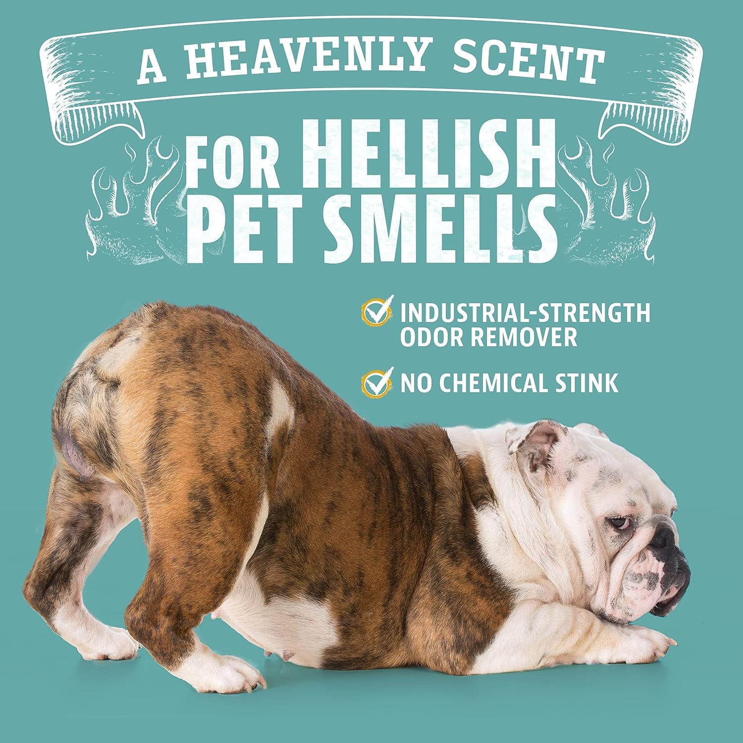 Pet Odor Eliminator for Dog and Cat Urine