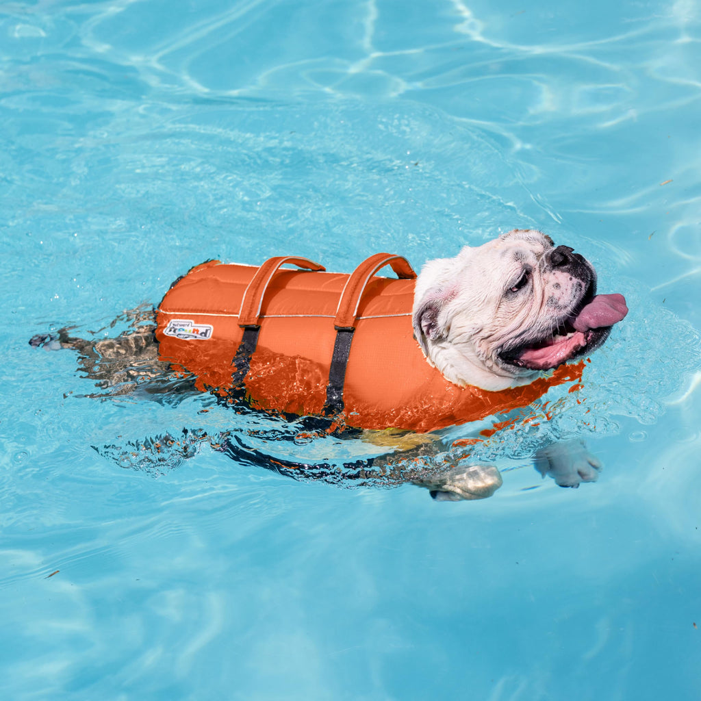 Dog Life Jacket – Flotation Vest for Swimming & Boating