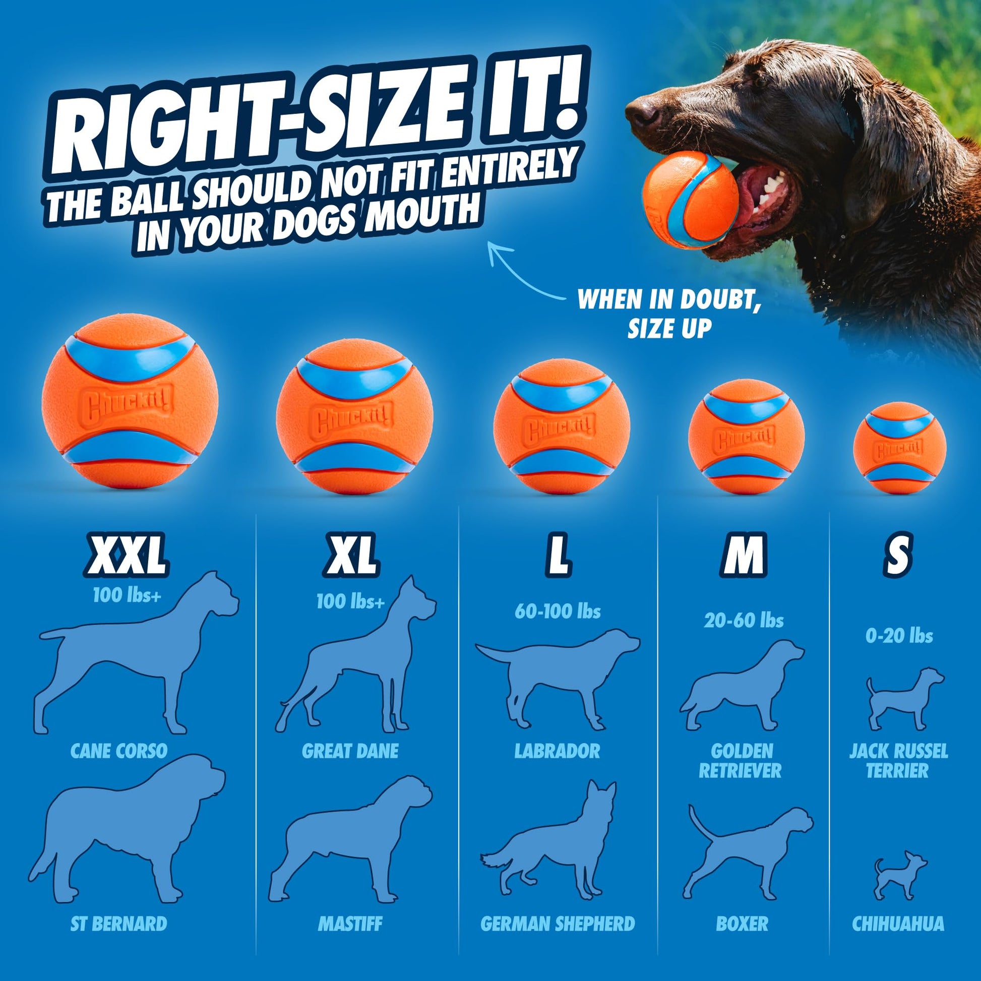 Ultra Ball Dog Toy - Medium Bouncy Fetch Balls For Dogs