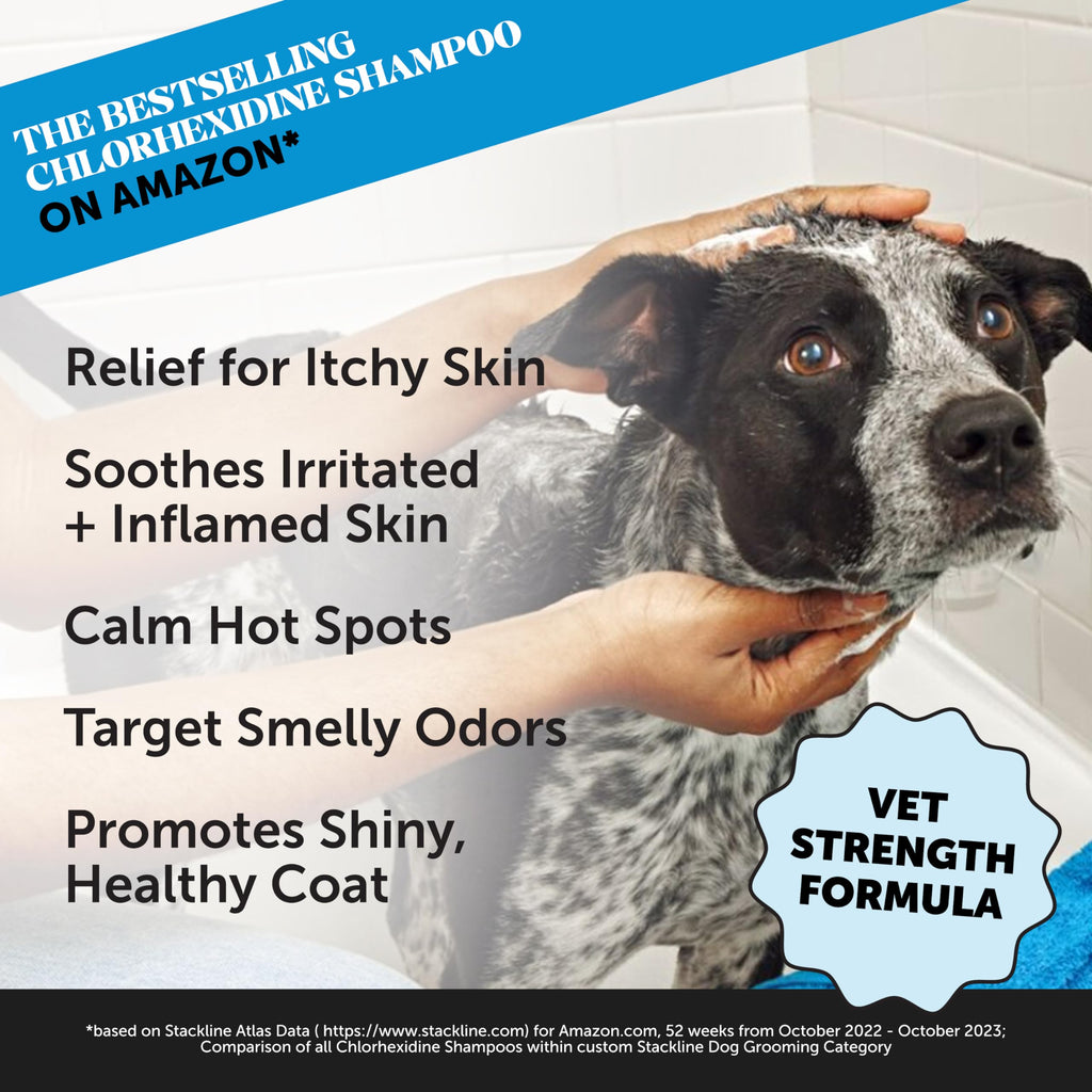 Chlorhexidine Cat & Dog Seasonal Itch Relief Shampoo 16 oz