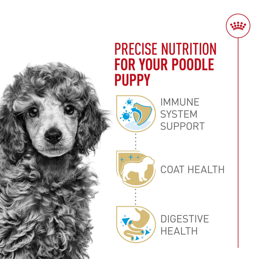 Royal Canin Poodle Puppy 2.5 lb Bag