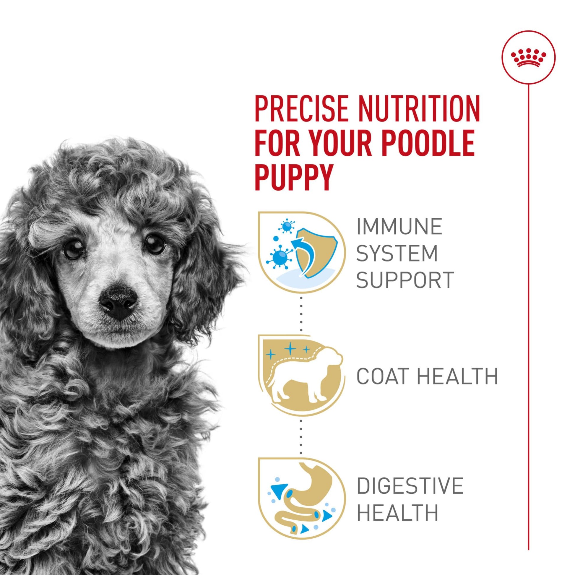 Royal Canin Poodle Puppy 2.5 lb Bag