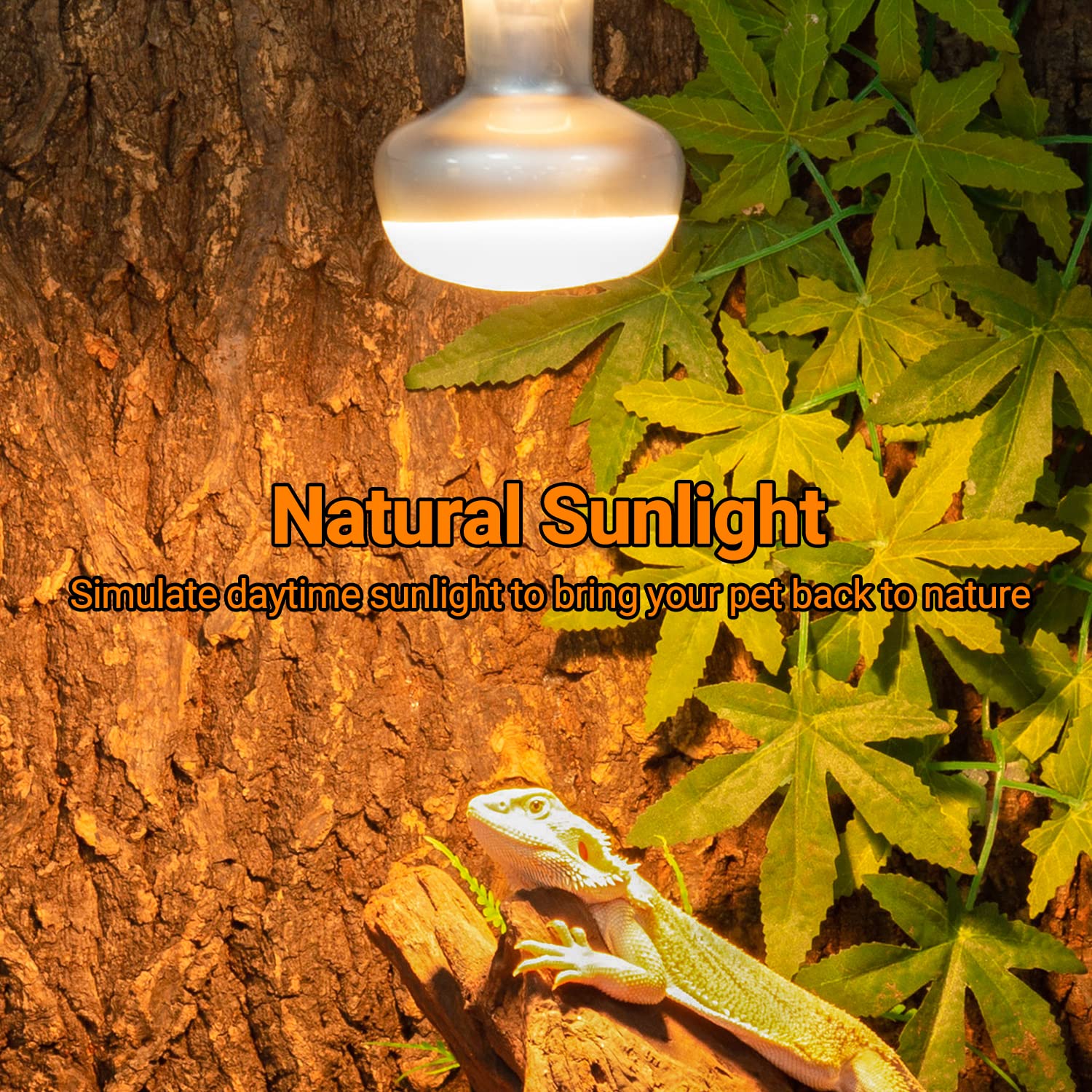 2 Pack Heat Lamp 100W