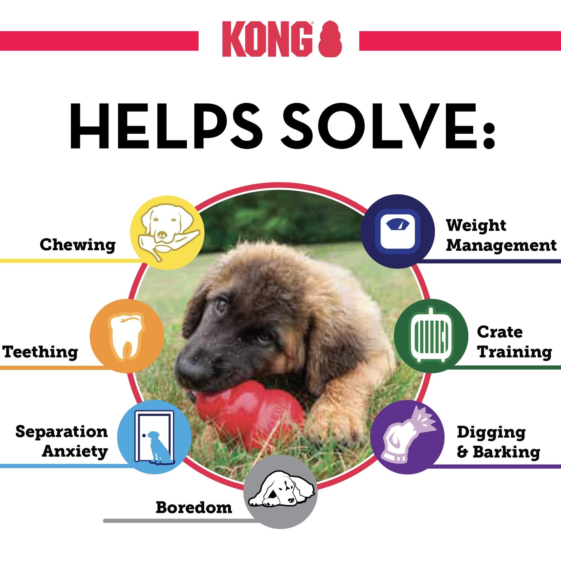 Natural Teething Rubber Chew Toy for Dogs