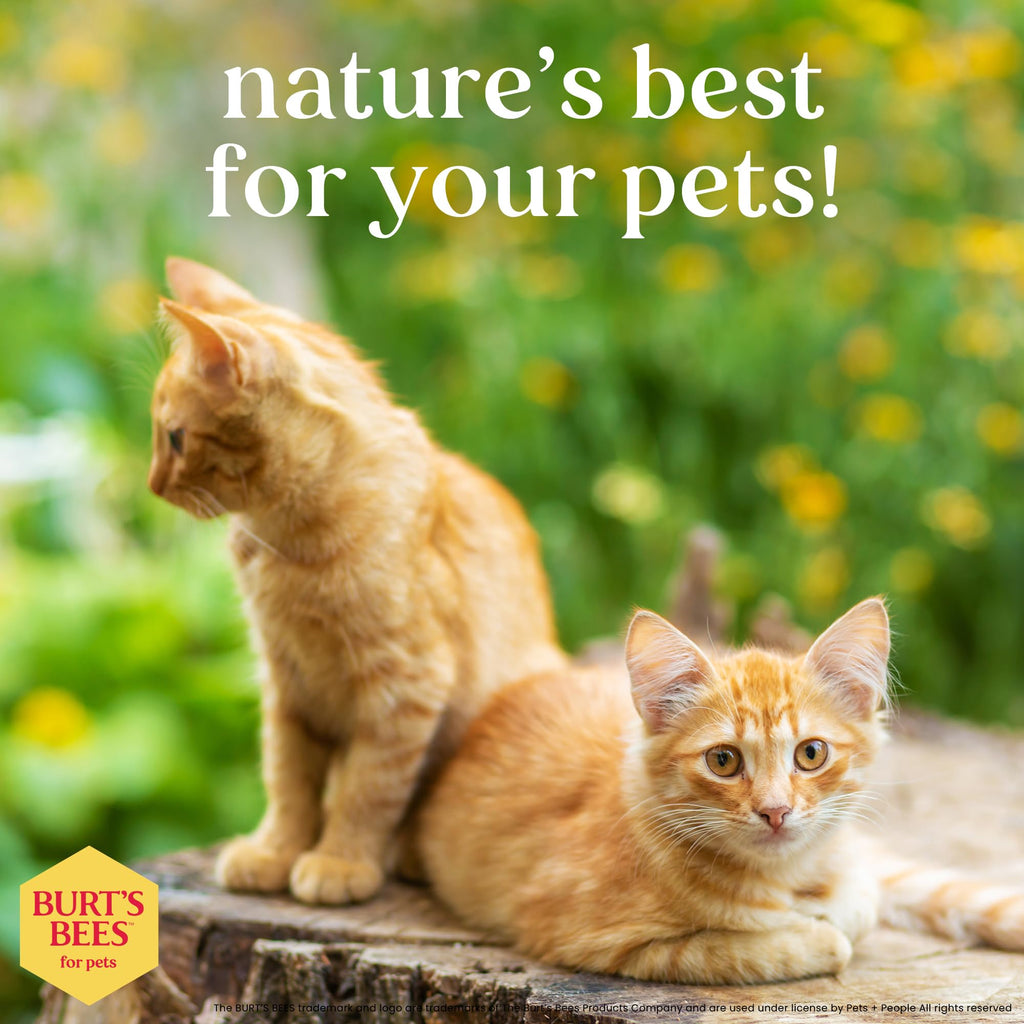 Burt's Bees for Pets Hypoallergenic Cat Shampoo with Shea Butter and Honey