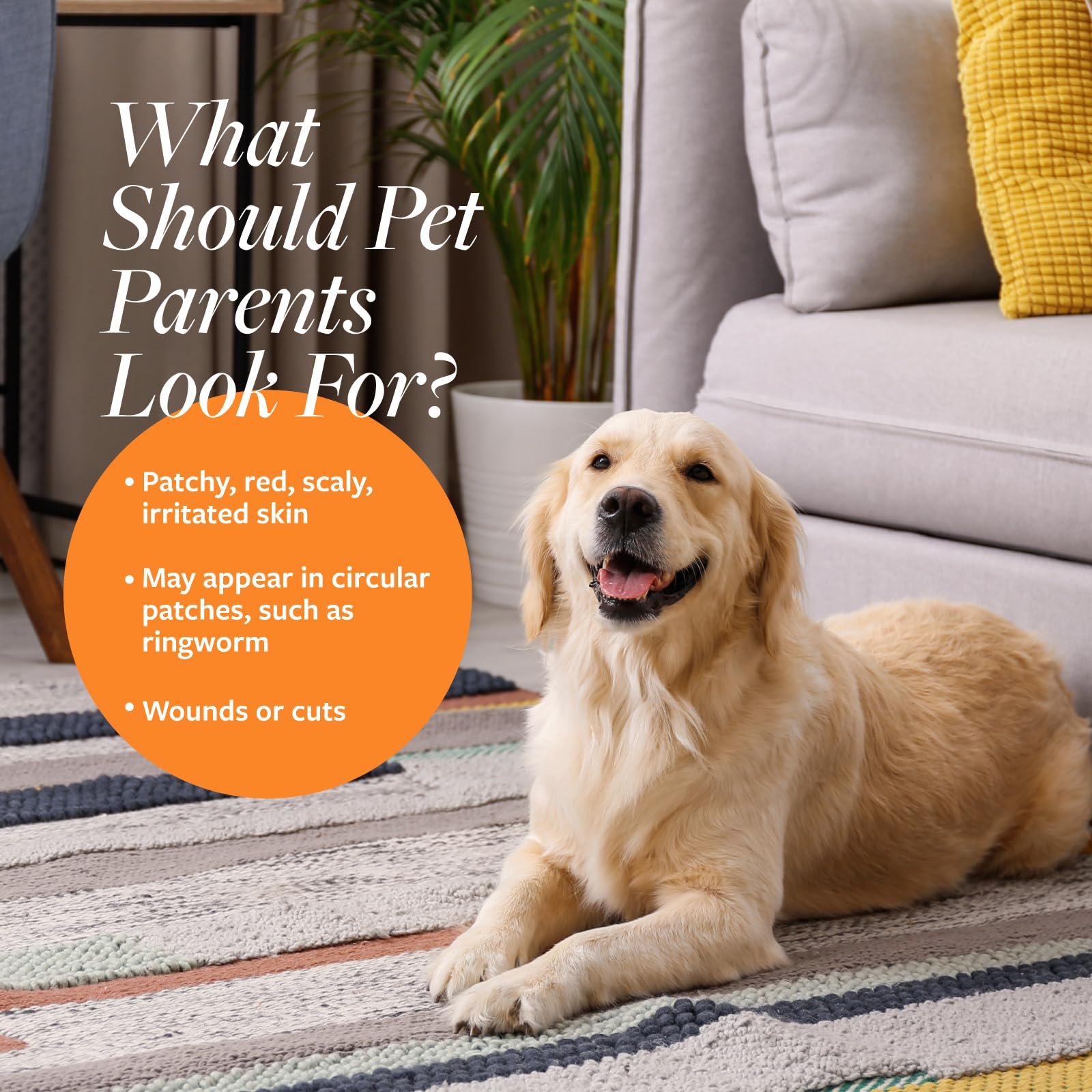 Veterinary Formula Clinical Care Antiseptic and Antifungal Medicated Shampoo for Dogs & Cats, 16 Fl Oz