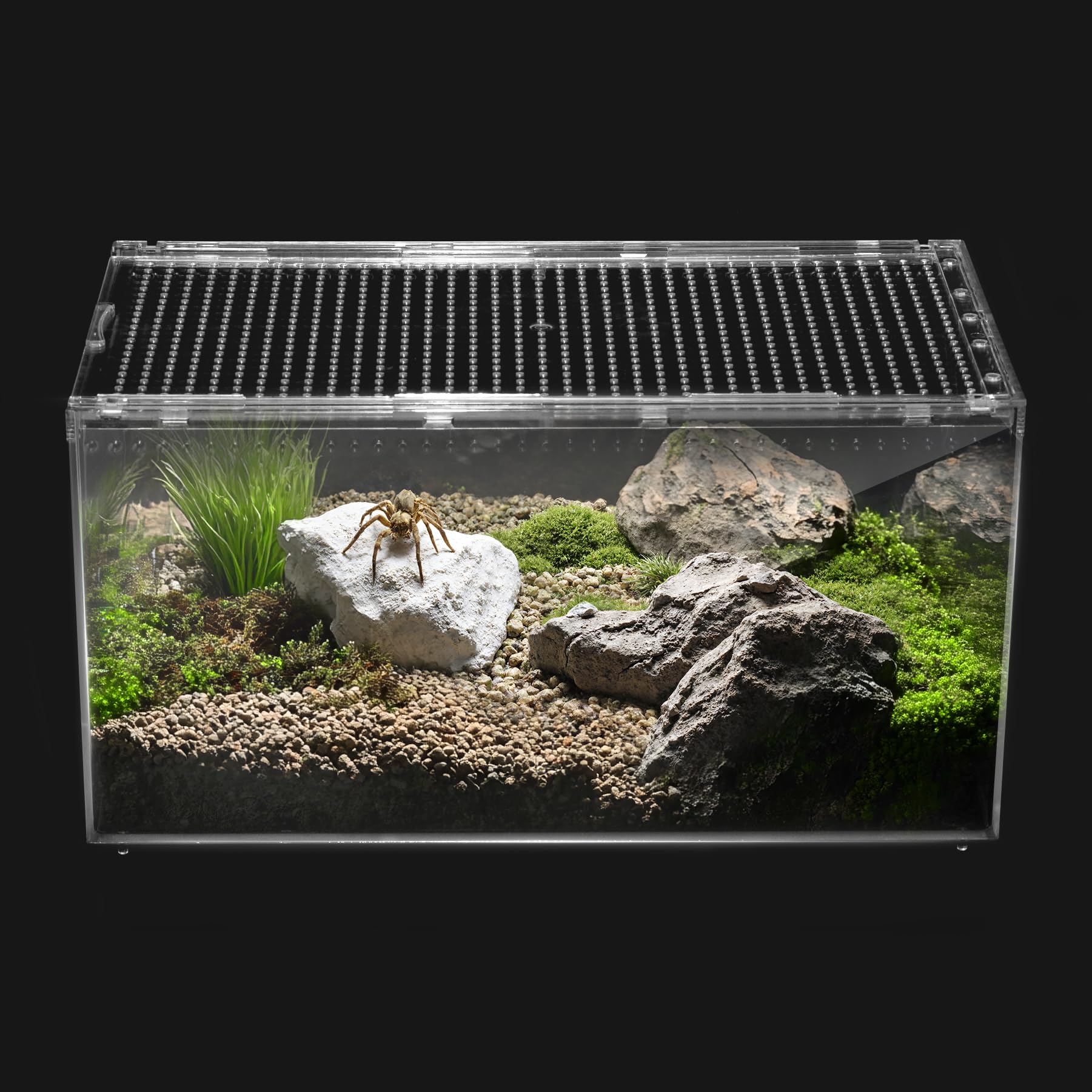 Reptile PC Terrarium