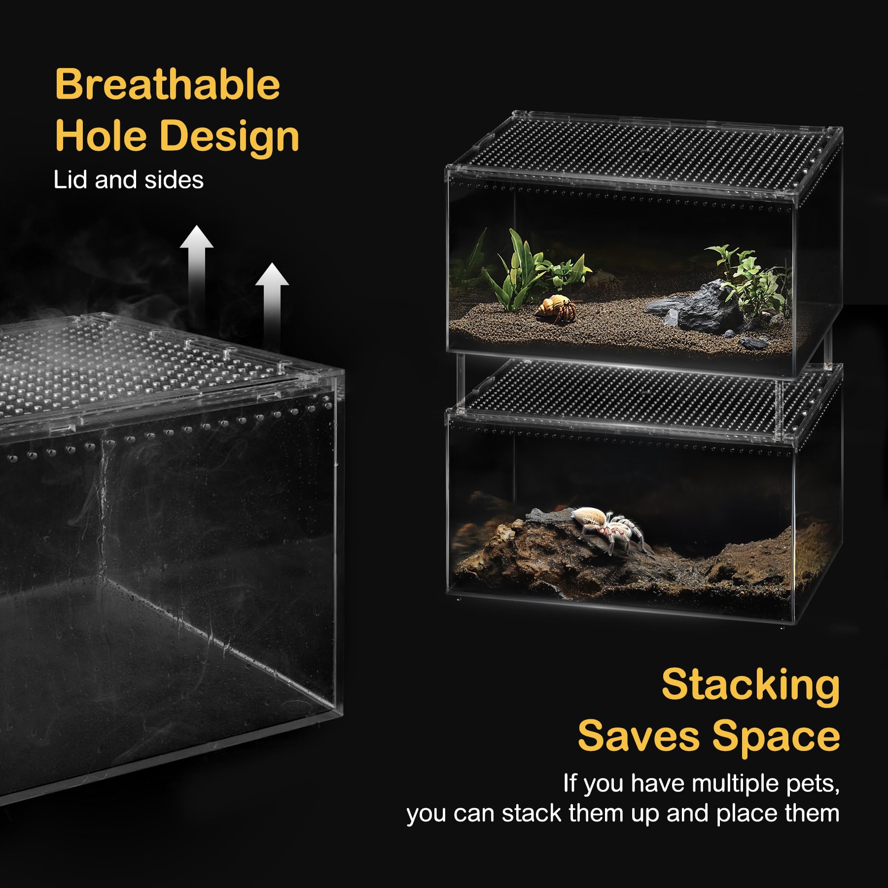 Reptile PC Terrarium