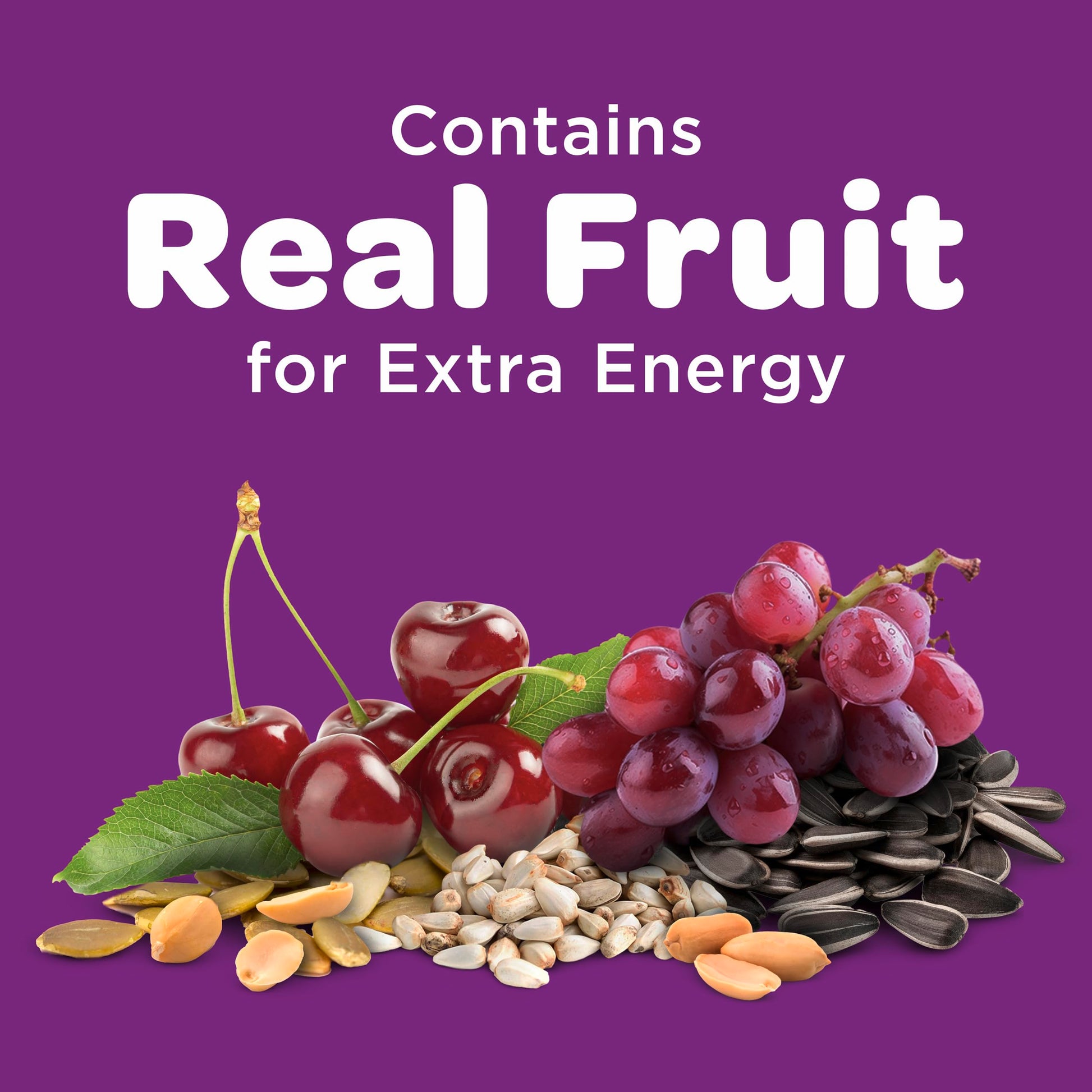 Nut & Fruit Wild Bird Seed 5 lb