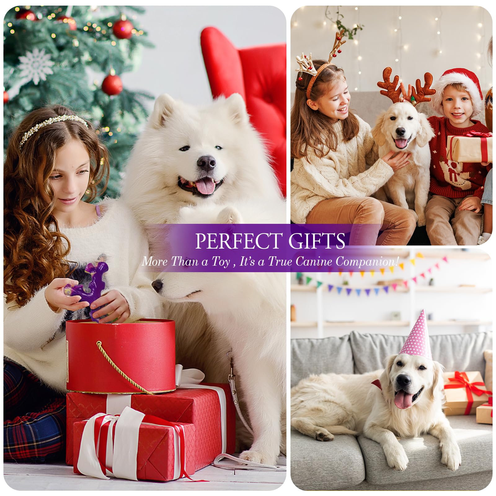 Tough Dog Toys for Aggressive Chewers 3 Pack