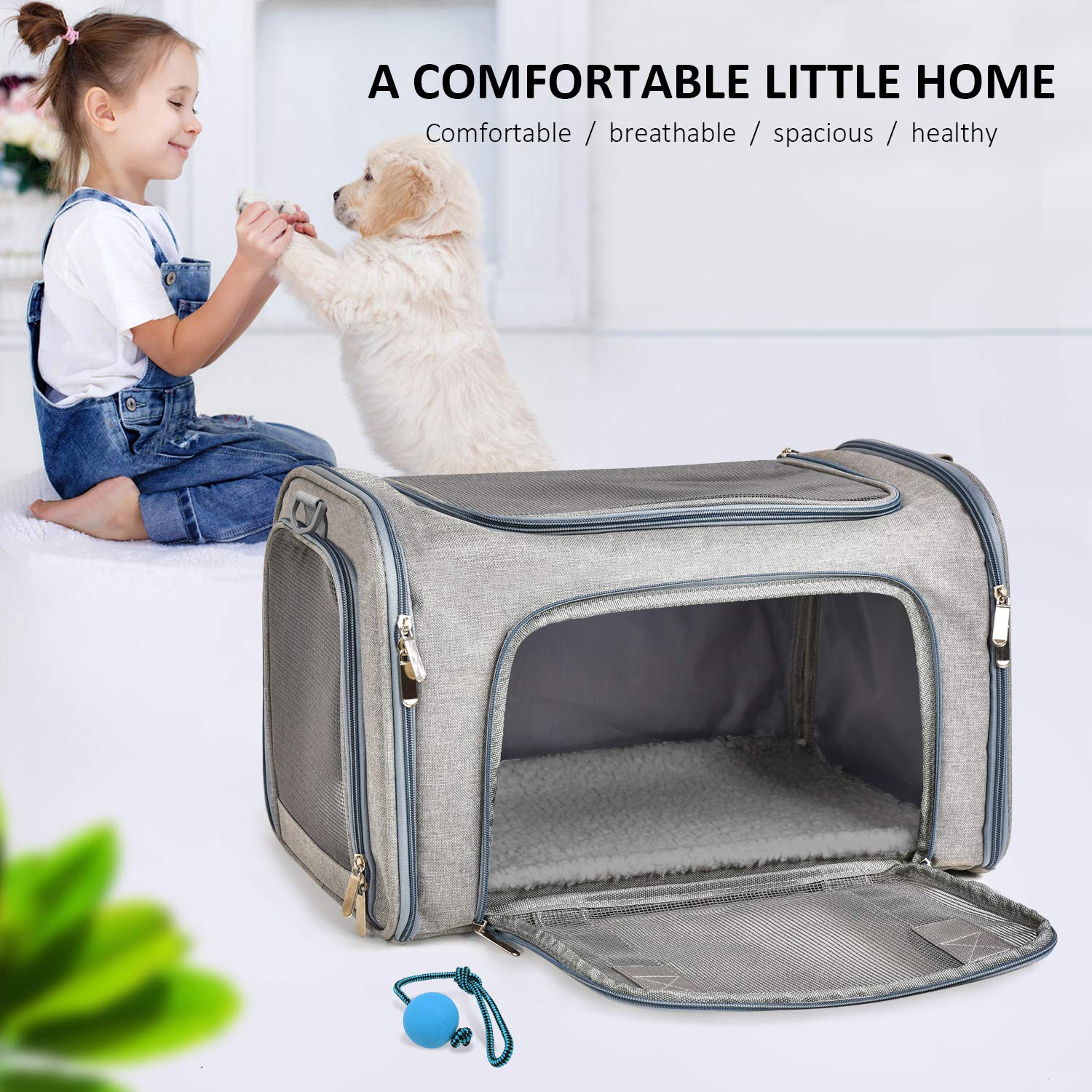 Airplane Approves Pet Carrier For Small Pets