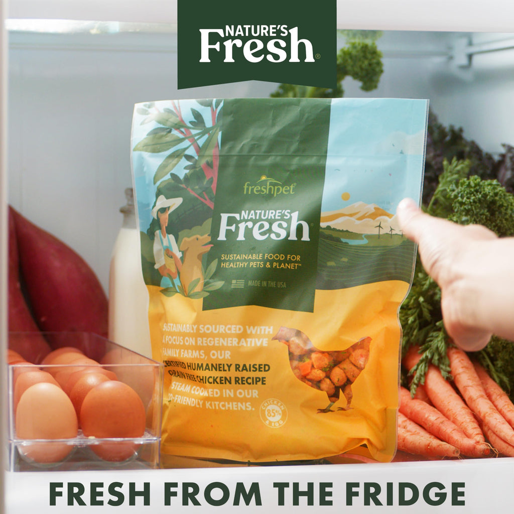 FreshPet Turkey Recipe with Spinach, Cranberries & Blueberries, 1 Lb