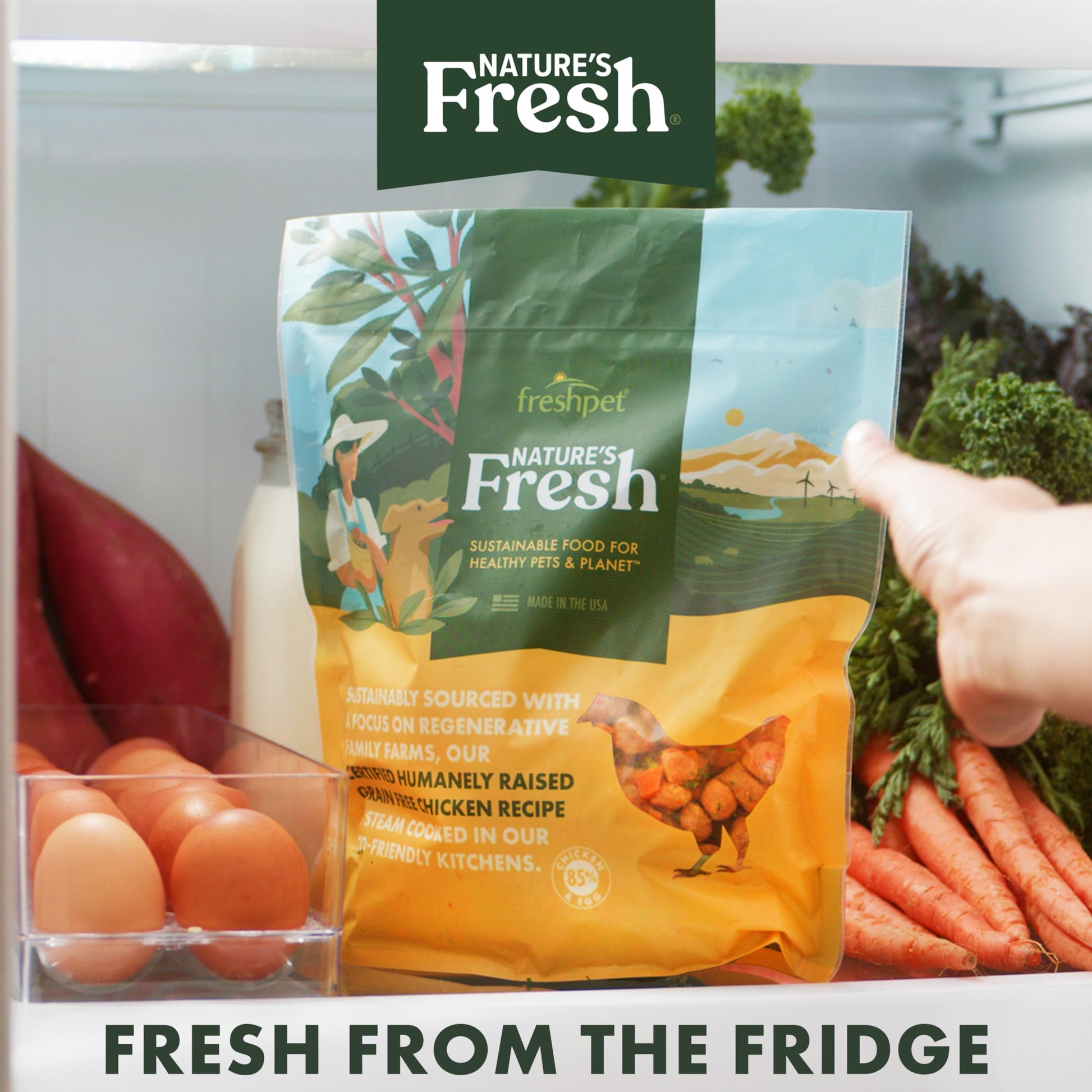 FreshPet Turkey Recipe with Spinach, Cranberries & Blueberries, 1 Lb