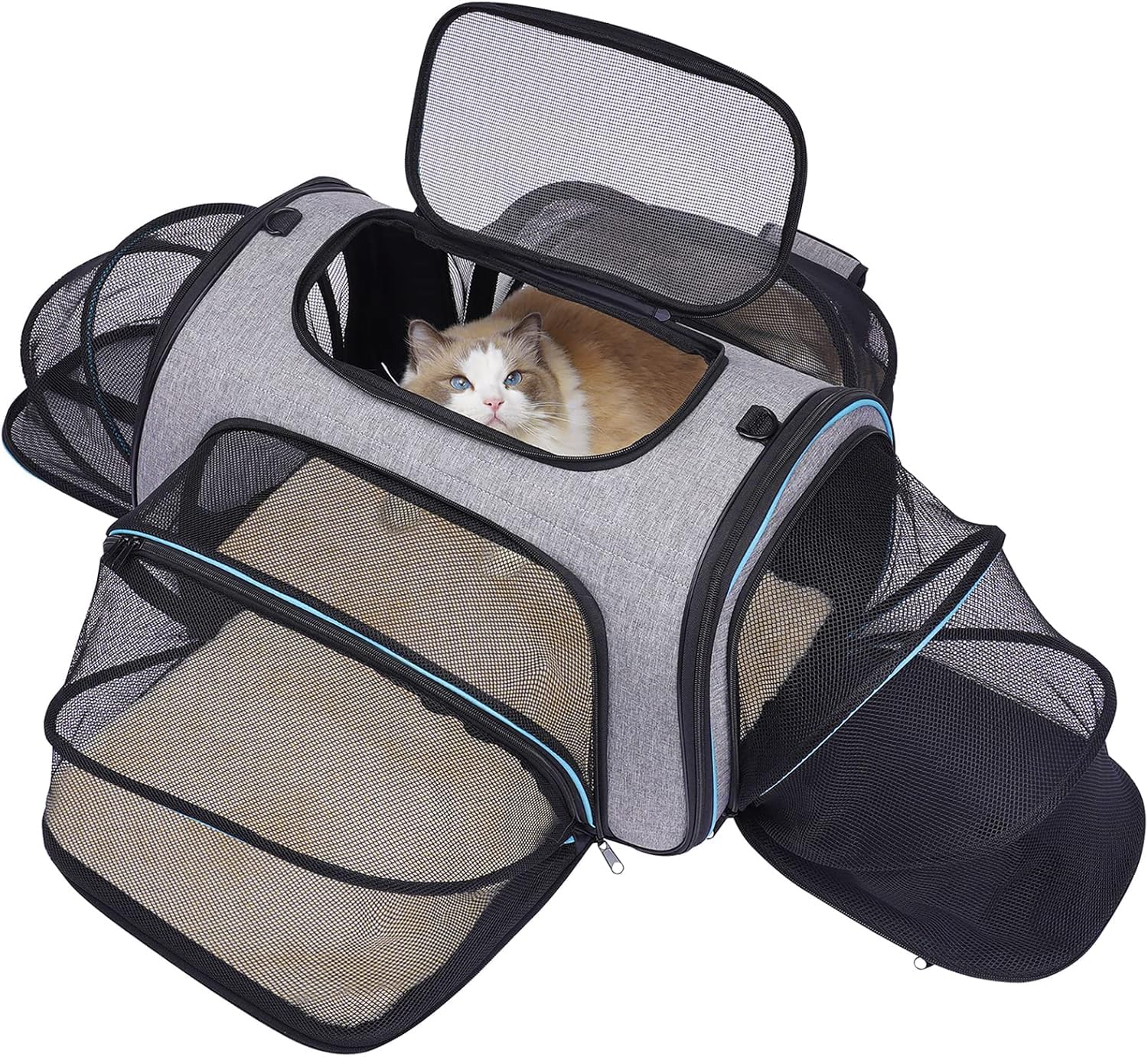 4 Sides Expandable Pet Carrier, Airline Approved
