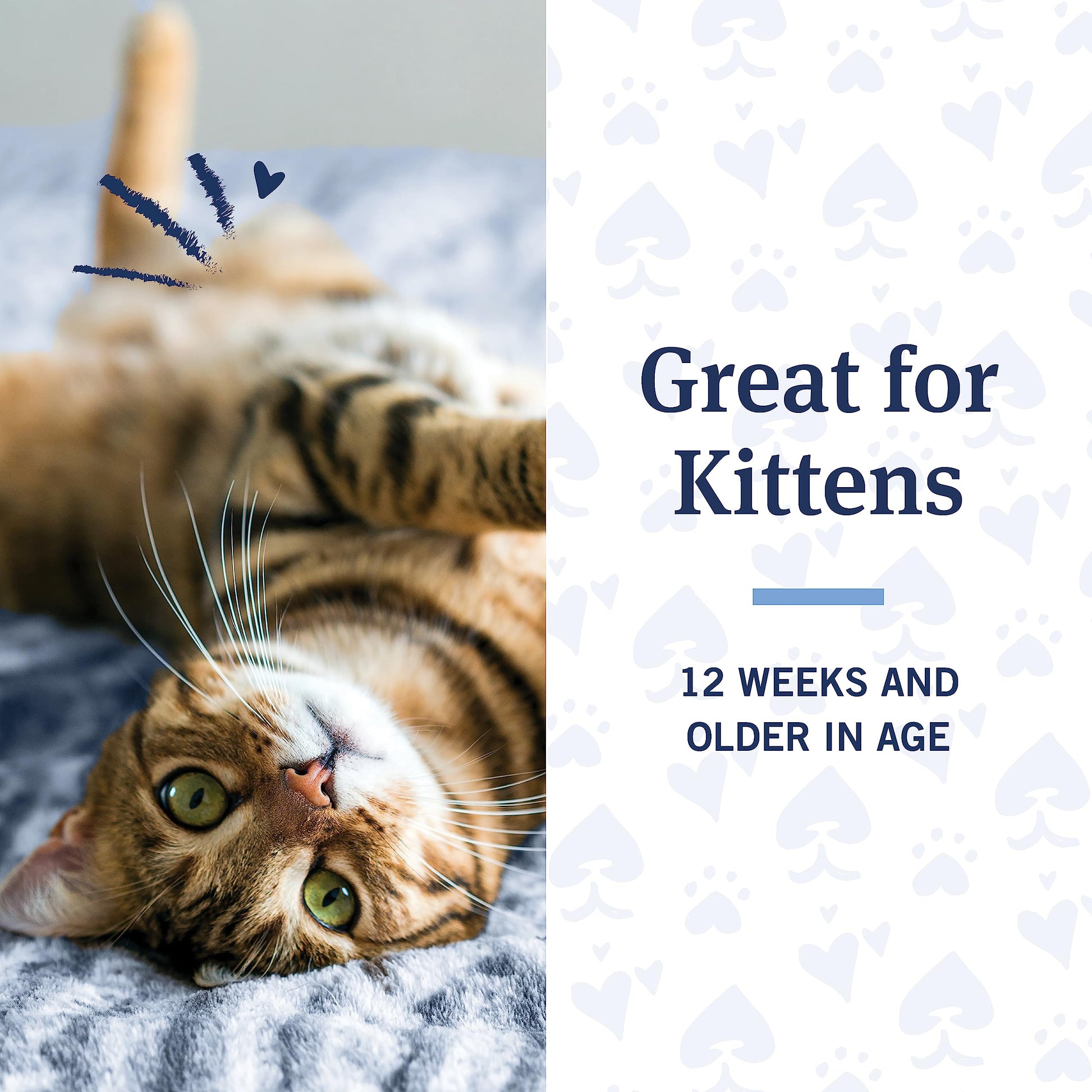 Flea and Tick Shampoo for Cats, Coconut Berry Scented