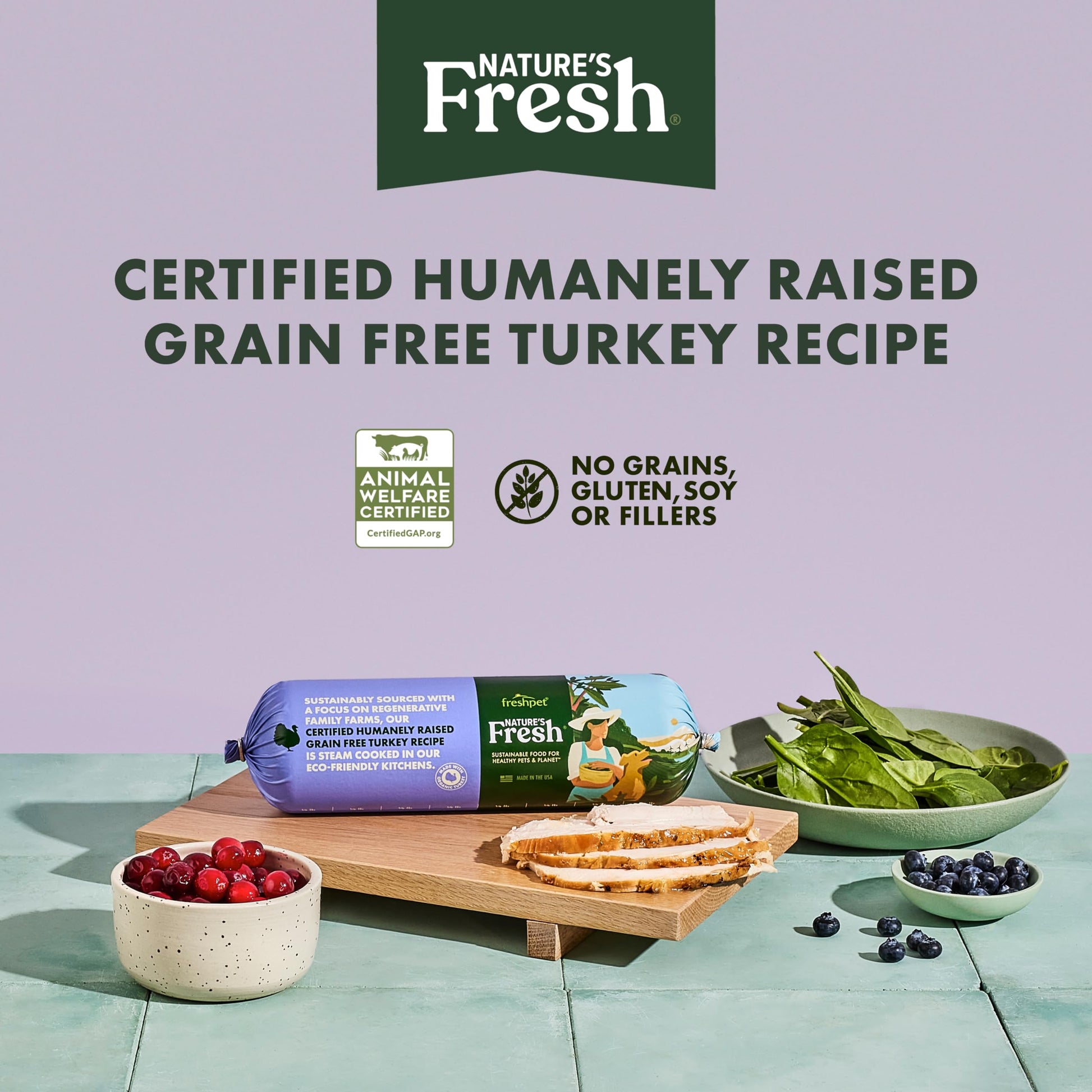 FreshPet Turkey Recipe with Spinach, Cranberries & Blueberries, 1 Lb