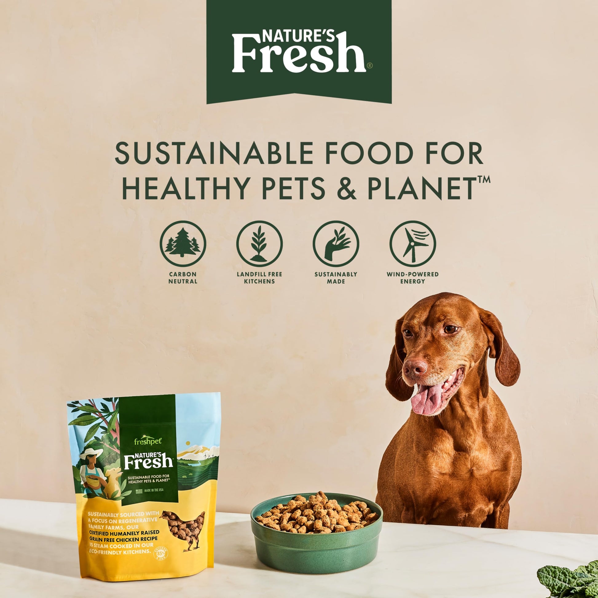FreshPet Turkey Recipe with Spinach, Cranberries & Blueberries, 1 Lb