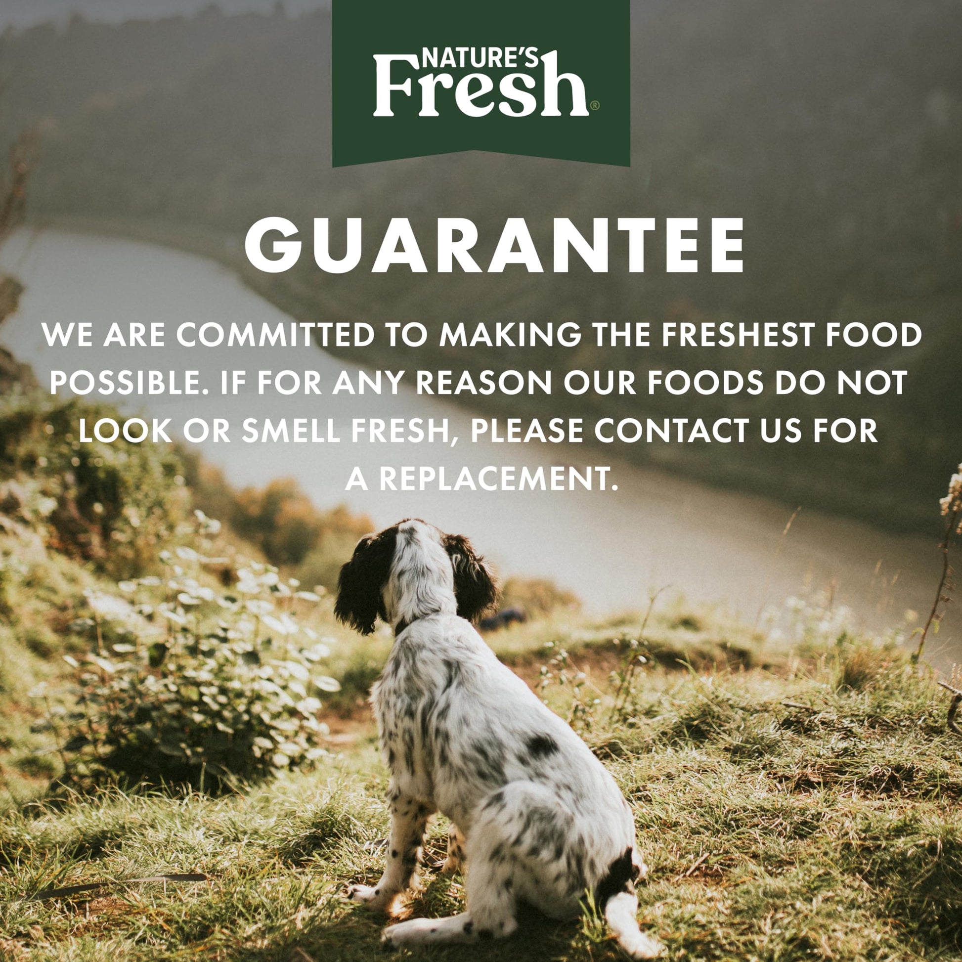 FreshPet Turkey Recipe with Spinach, Cranberries & Blueberries, 1 Lb