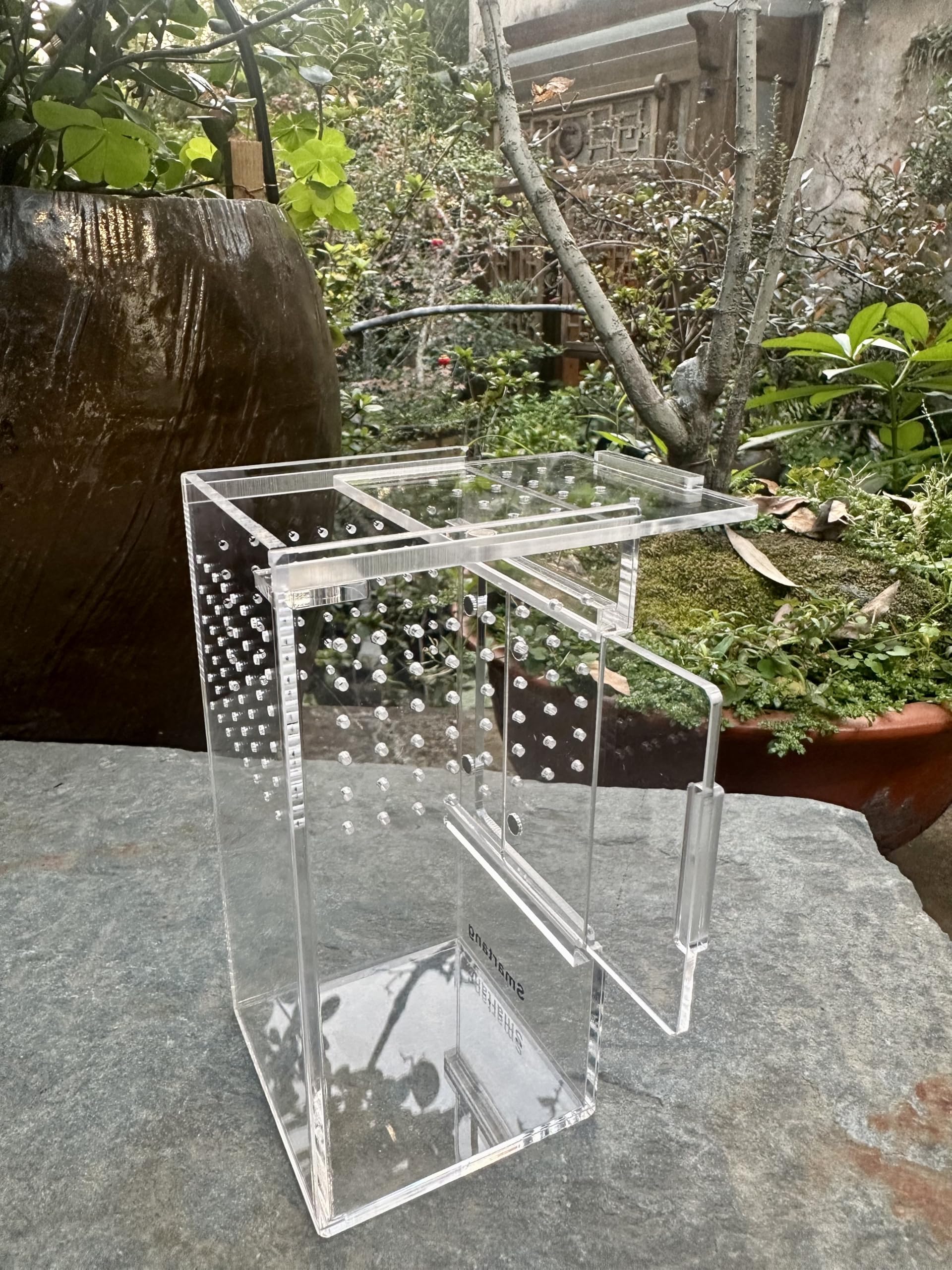 Spider Enclosure