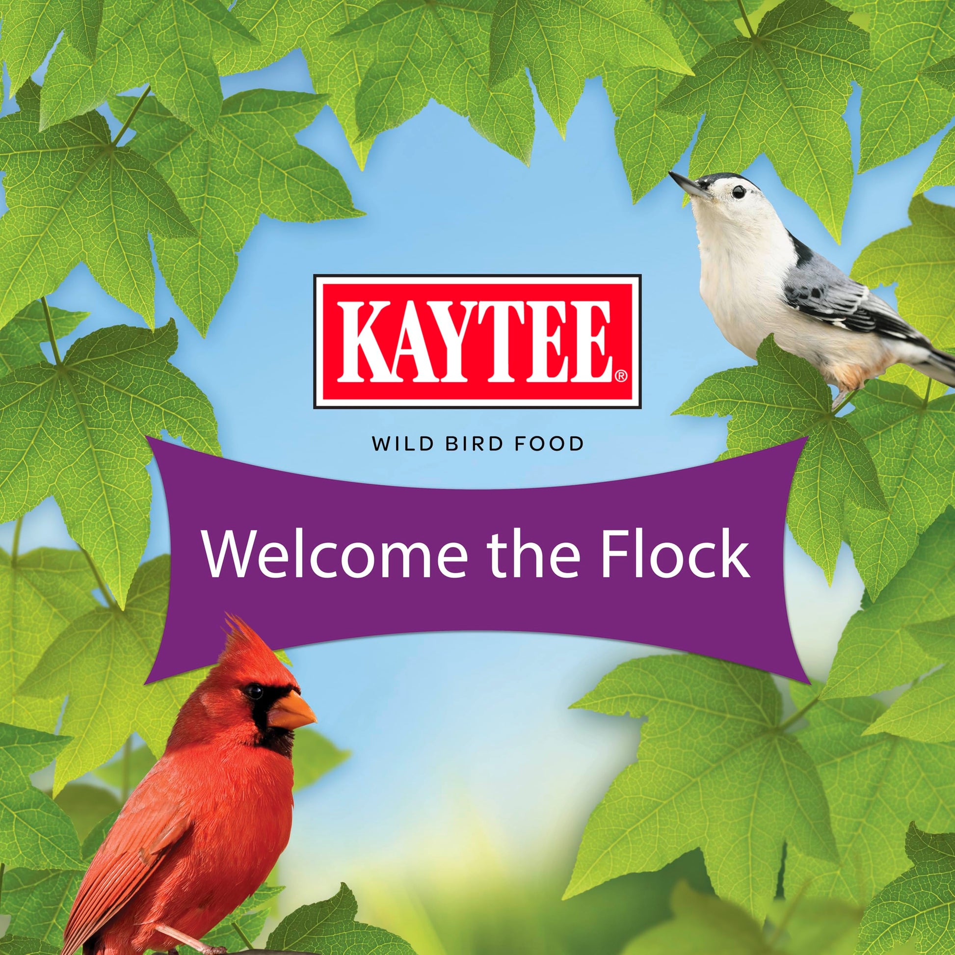 Nut & Fruit Wild Bird Seed 5 lb