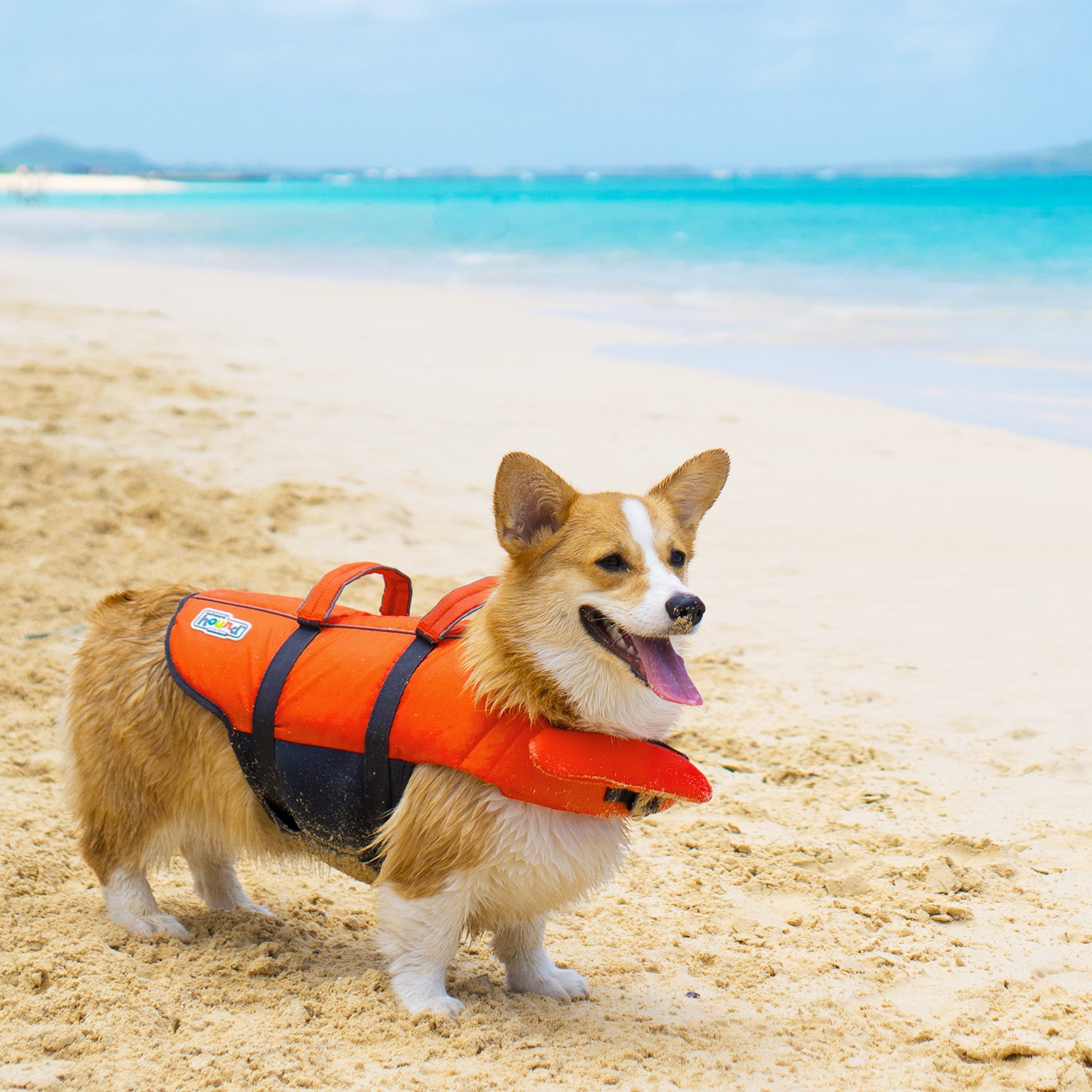 Dog Life Jacket – Flotation Vest for Swimming & Boating