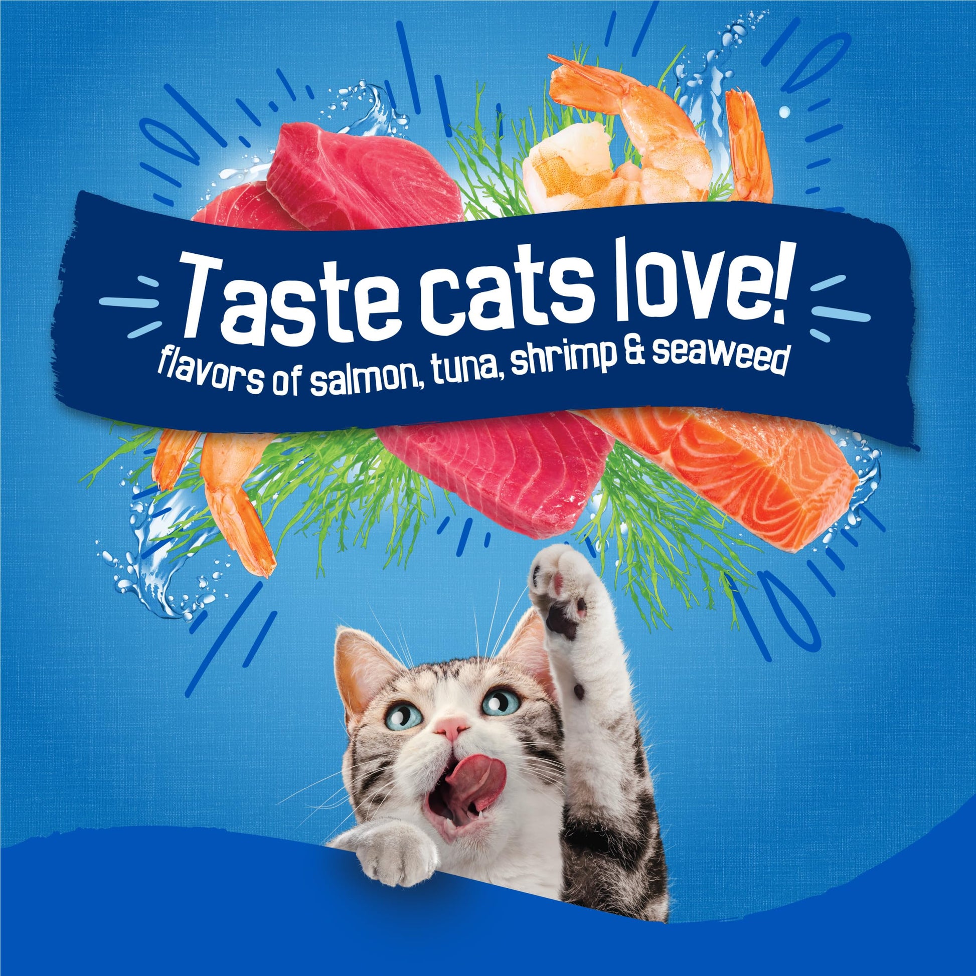 Purina Friskies Dry Cat Food Seafood Sensations 22 lb.